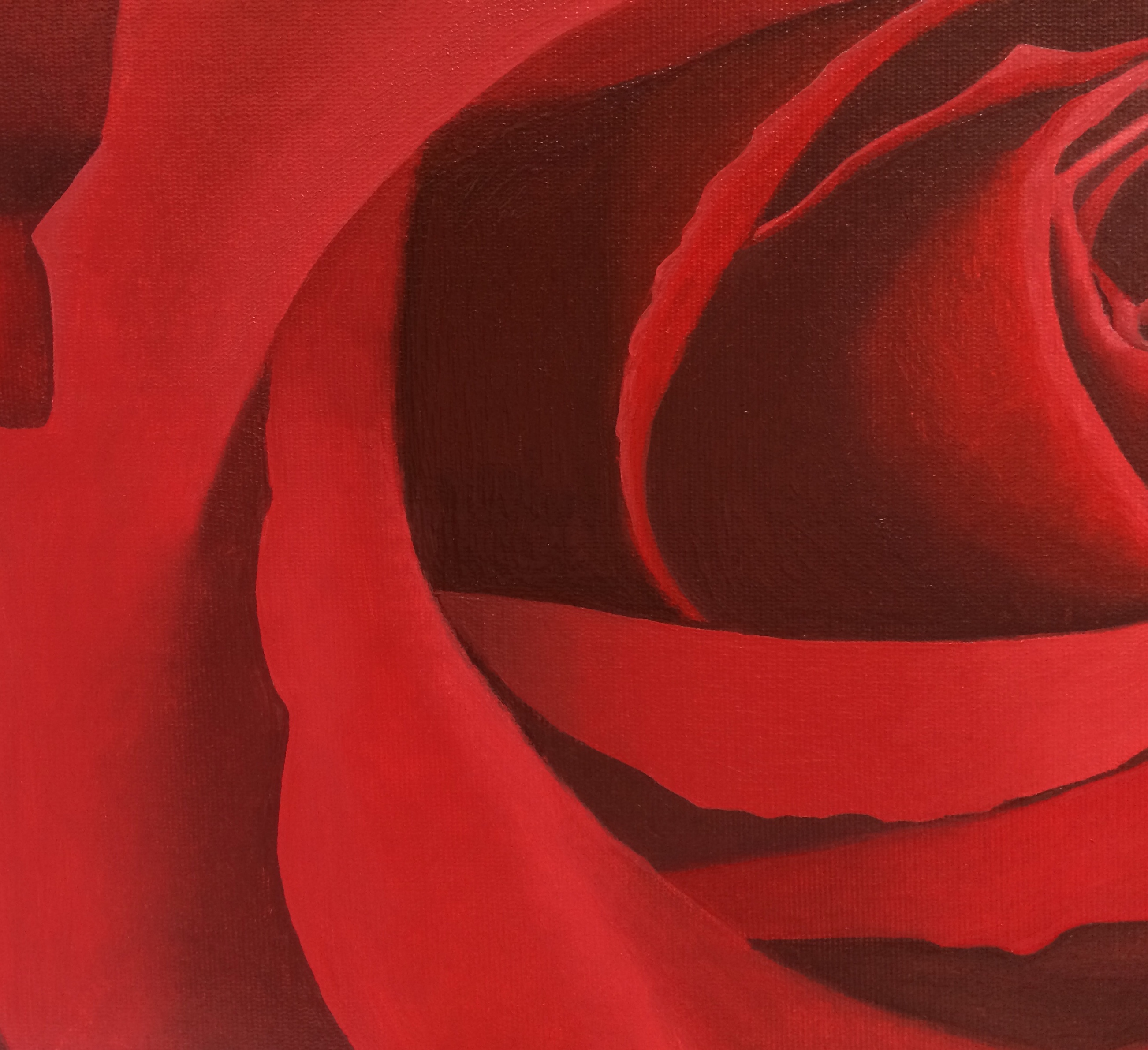 Red Rose - ArtMarketDirect