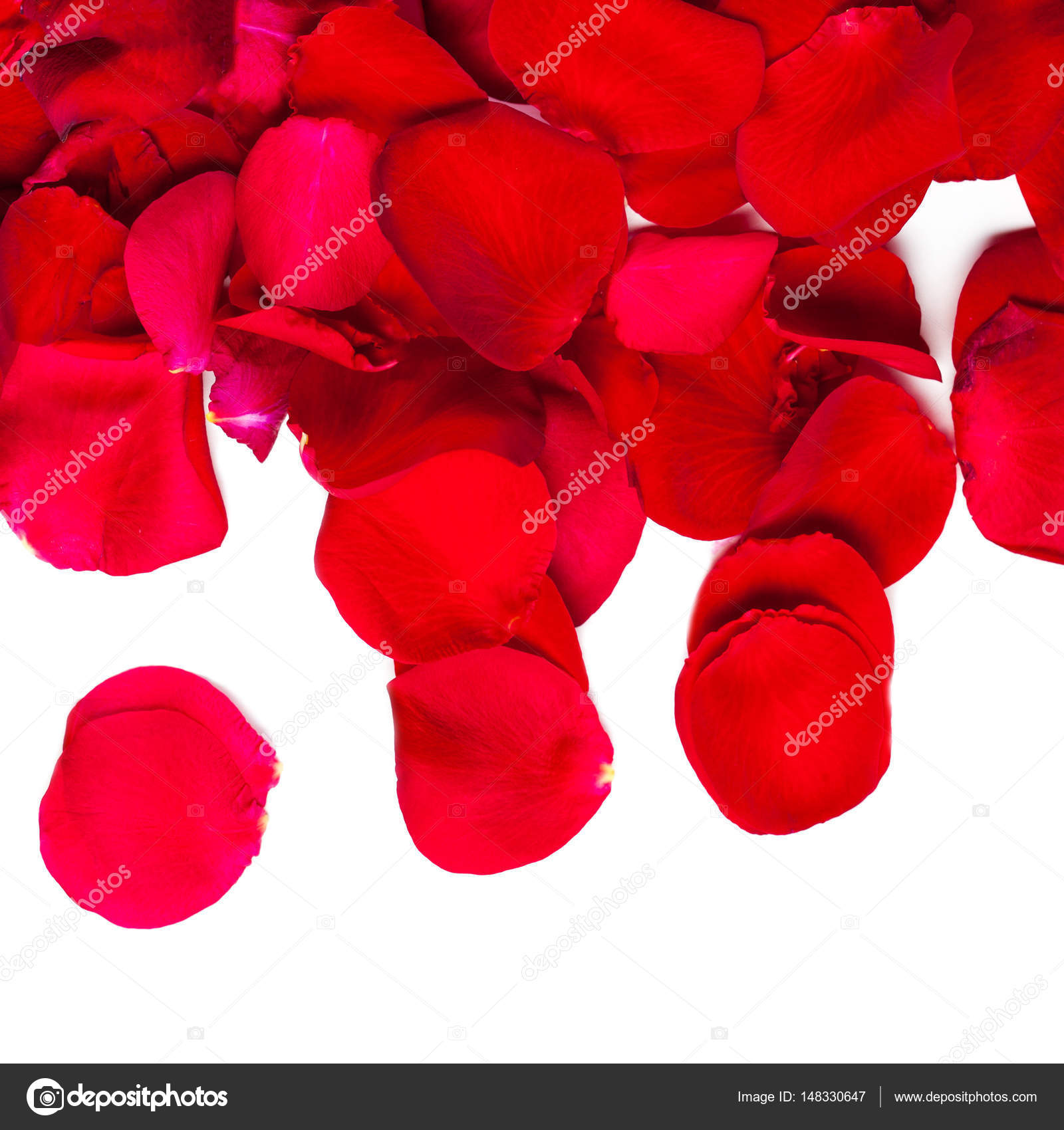 Red Rose petals background — Stock Photo © Zakharova #148330647