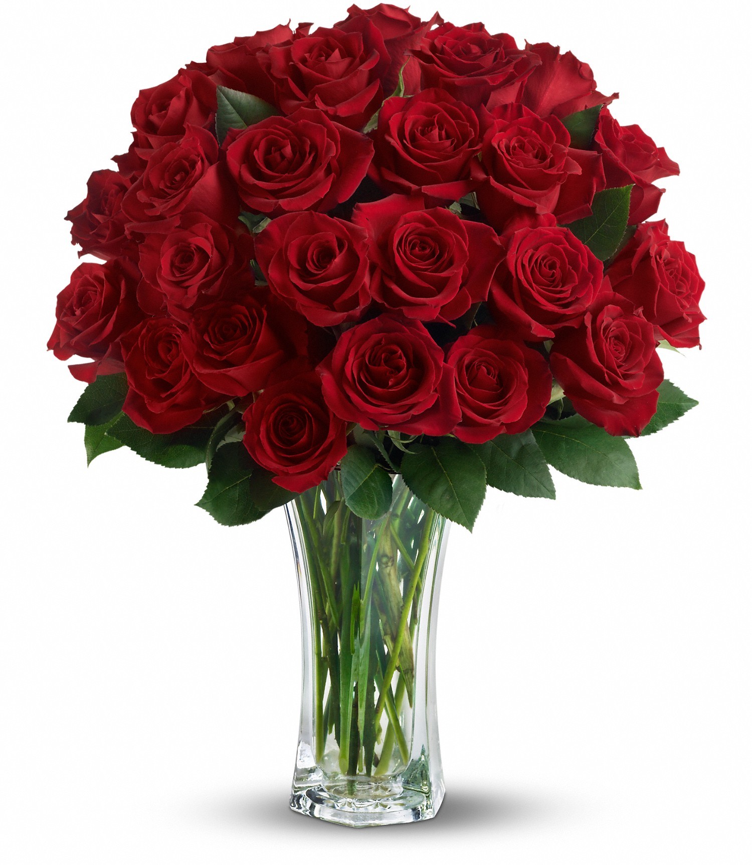 Love and Devotion - Long Stemmed Red Roses in St. Louis, MO | Stems ...
