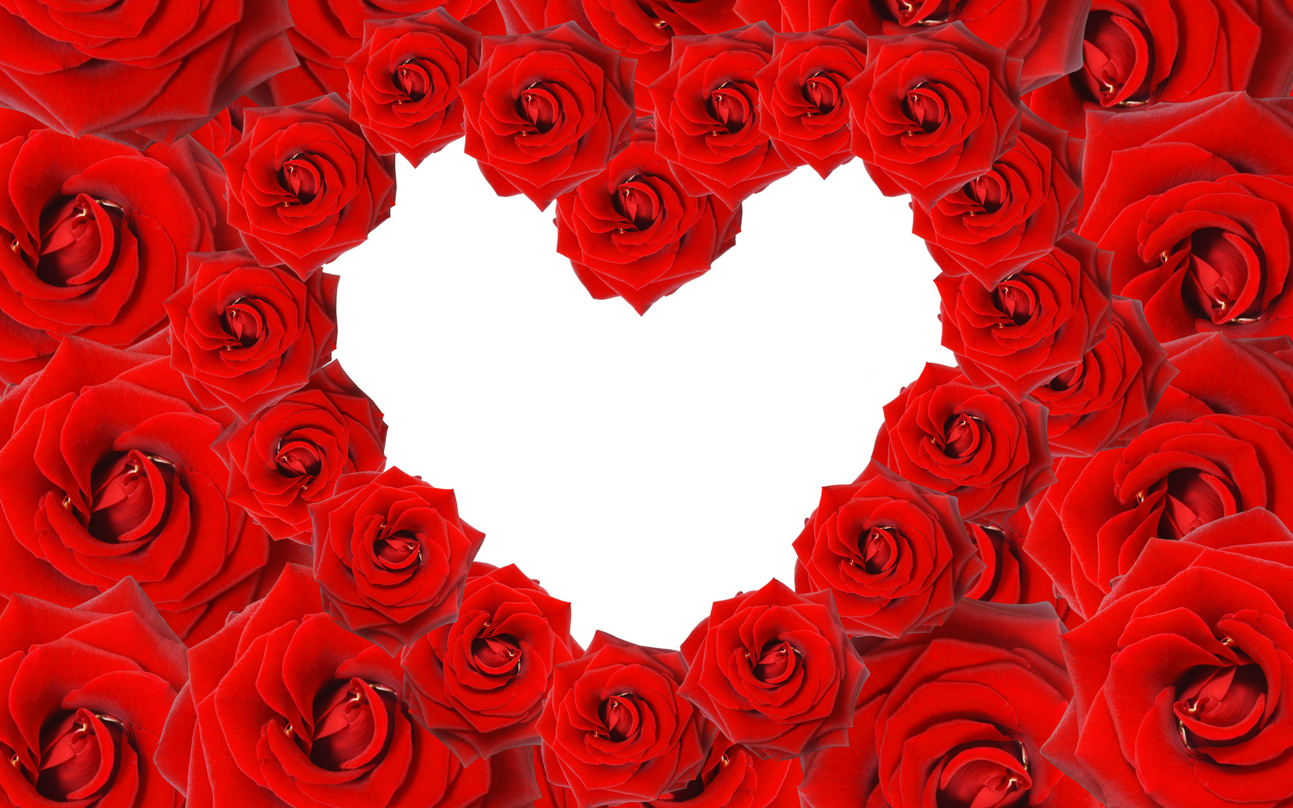 Red Roses & Love Heart Wallpapers | HD Wallpapers | ID #8639