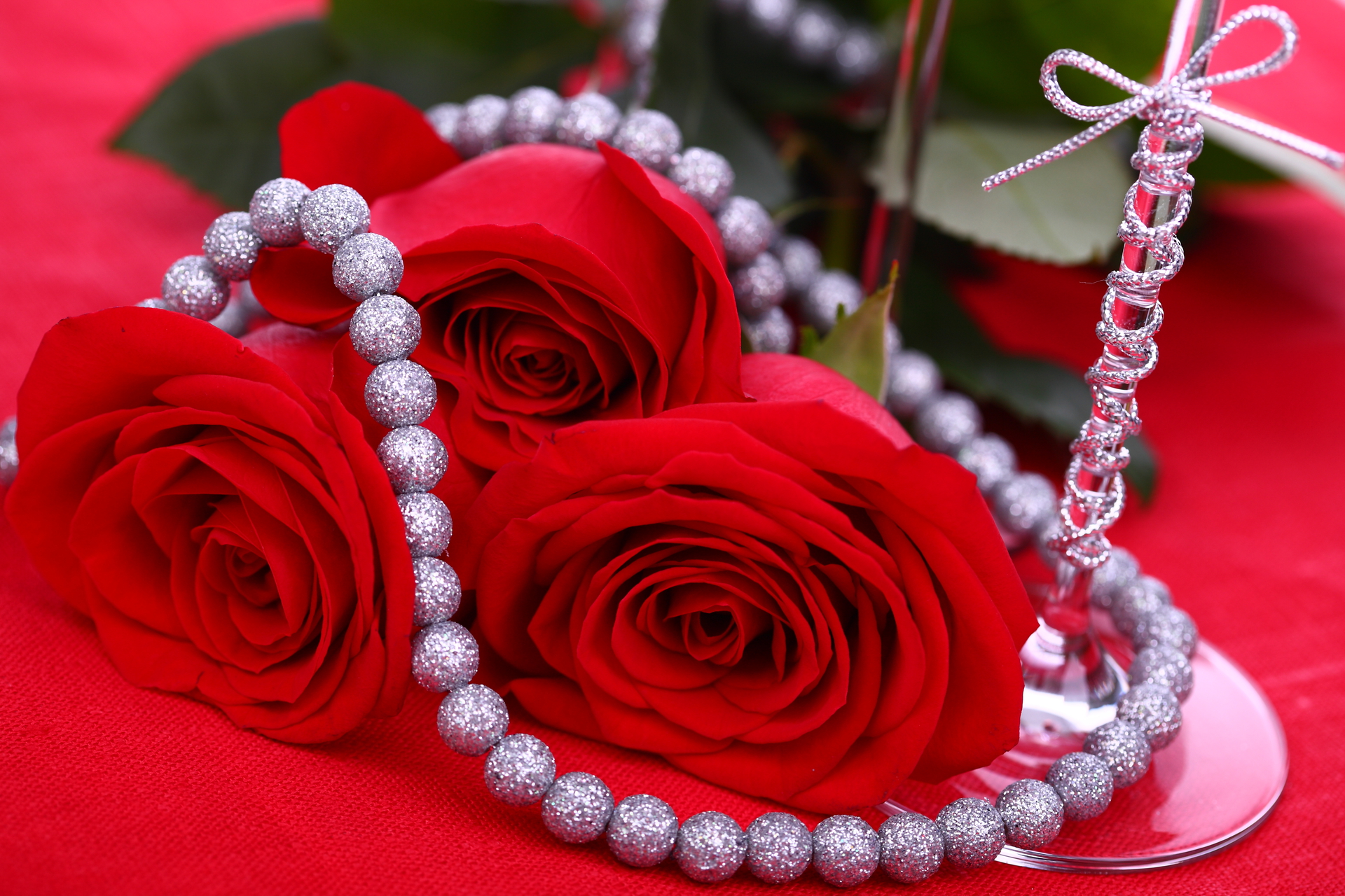 Red Roses And Its Use And Meaning In Valentine - FLICKL