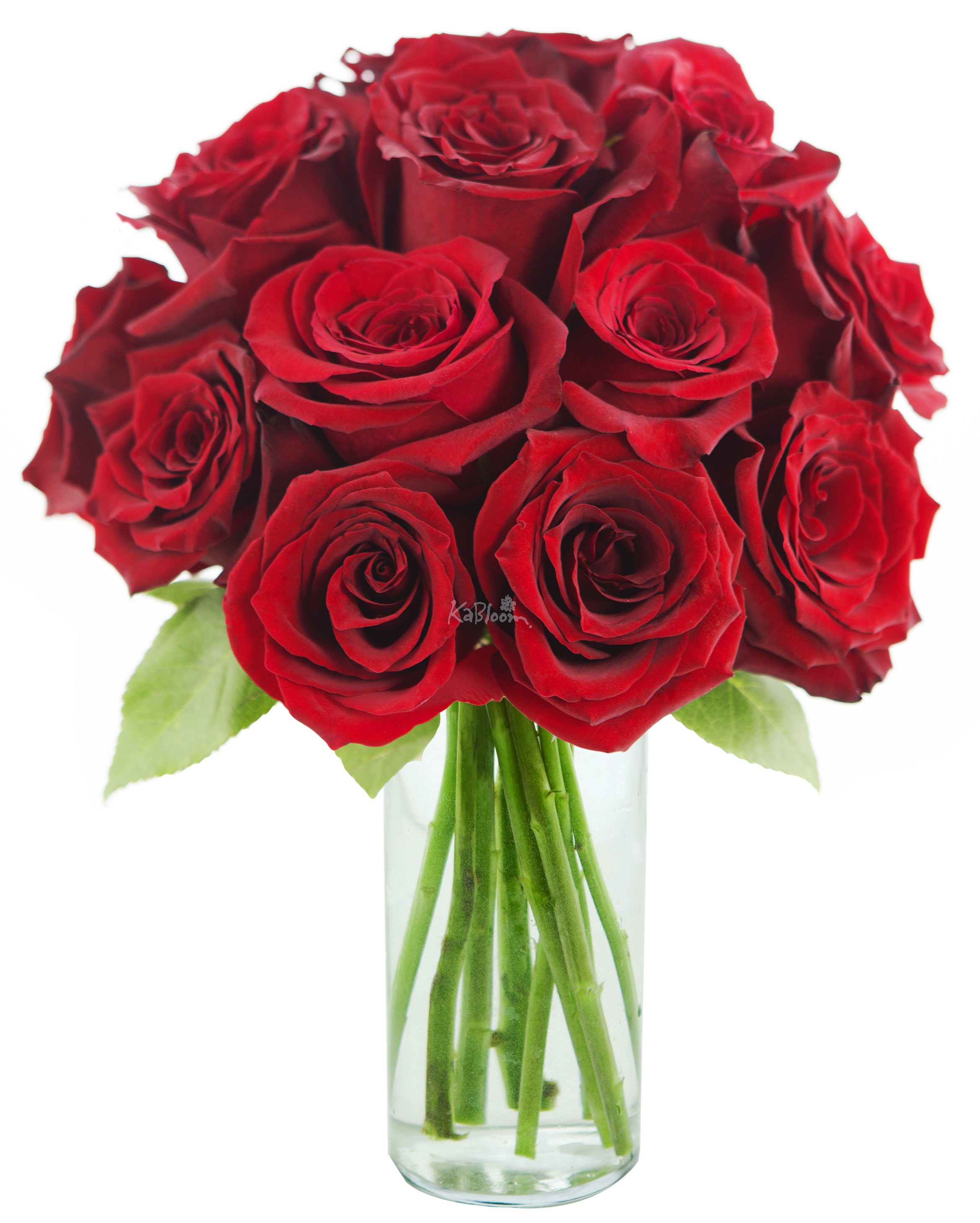 Букет свежих роз. Rose Bouquet розы. Букет красных роз. Будет красных роз. Букет из красных роз.