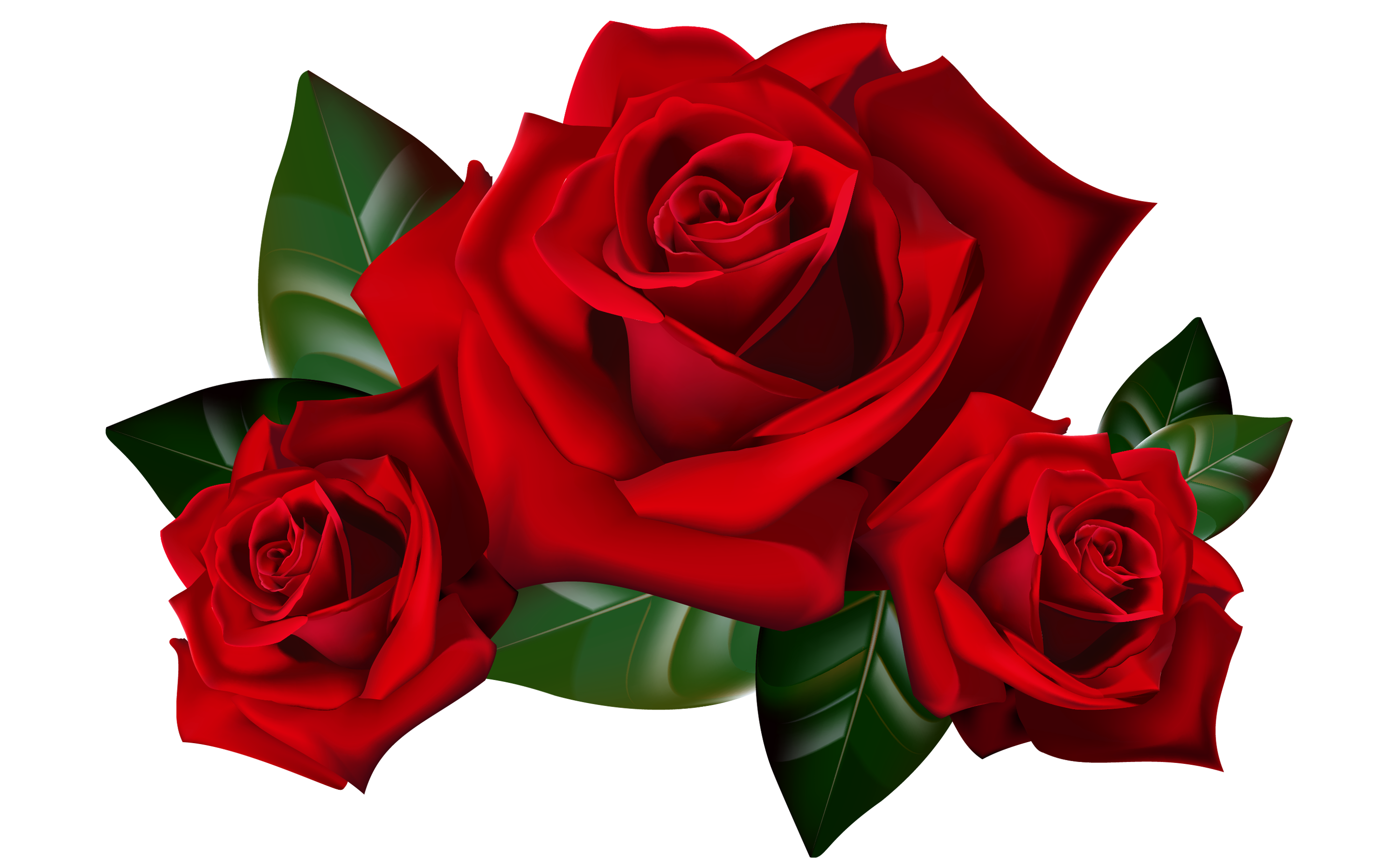 Red Roses Png Clipart Picture Hd Desktop Wallpaper Widescreen ...