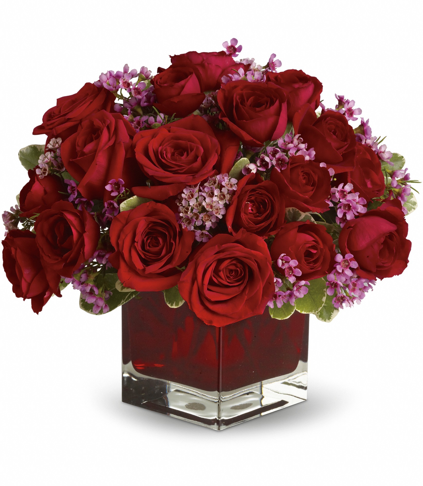 Never Let Go by Teleflora - 18 Red Roses in Mound, MN | Lake ...