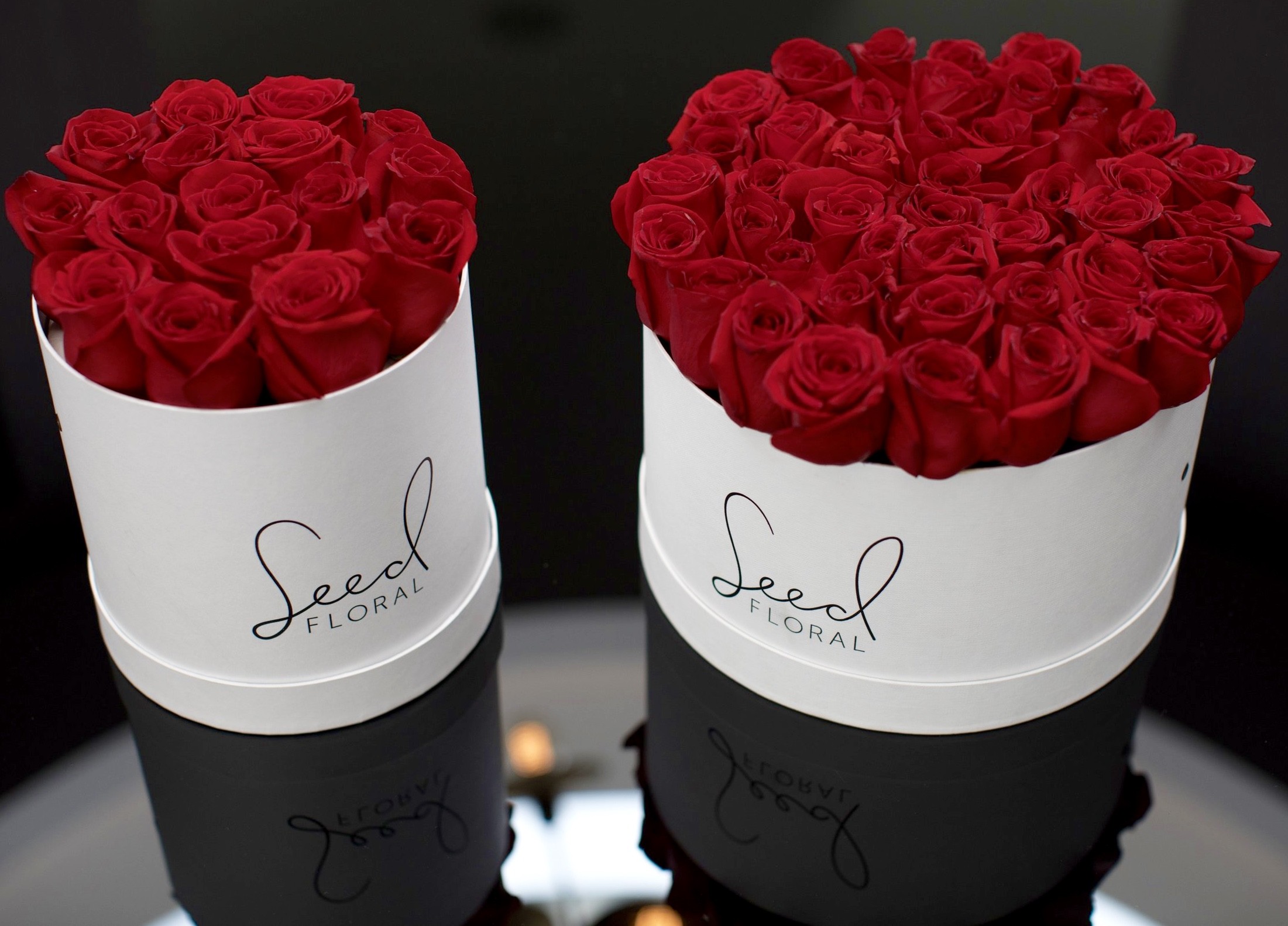 Round SEED Box- White with FRESH Red Roses in West Hollywood, CA ...