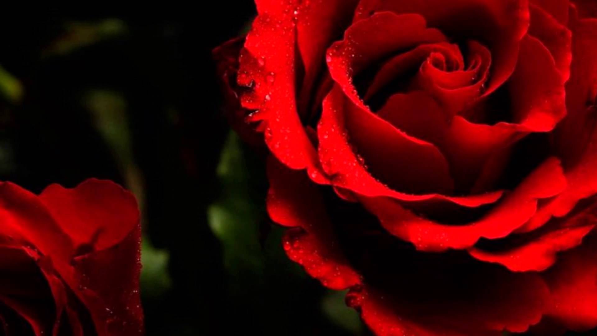 Red Roses For A Blue Lady - Bert Kaempfert and His Orchestra - - YouTube