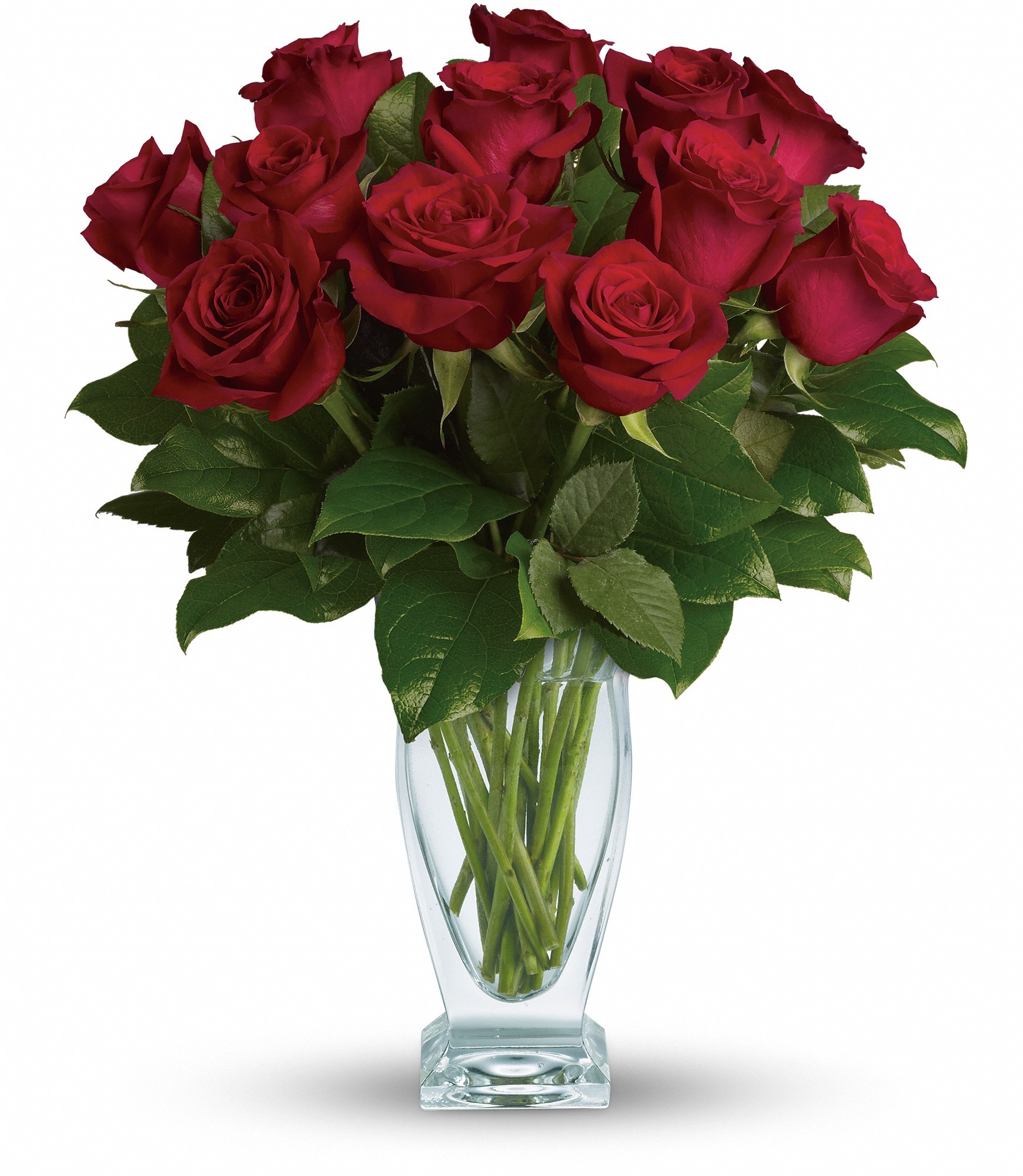 Rose Classique - Dozen Red Roses in Ceres, CA | Hand Creations ...