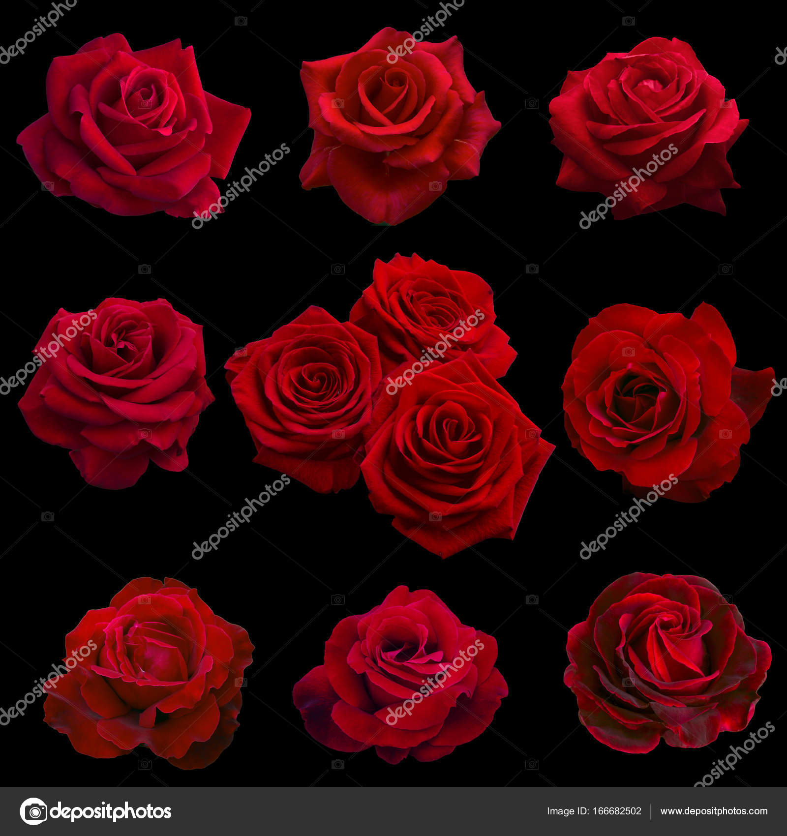 collage of red roses — Stock Photo © Likka #166682502