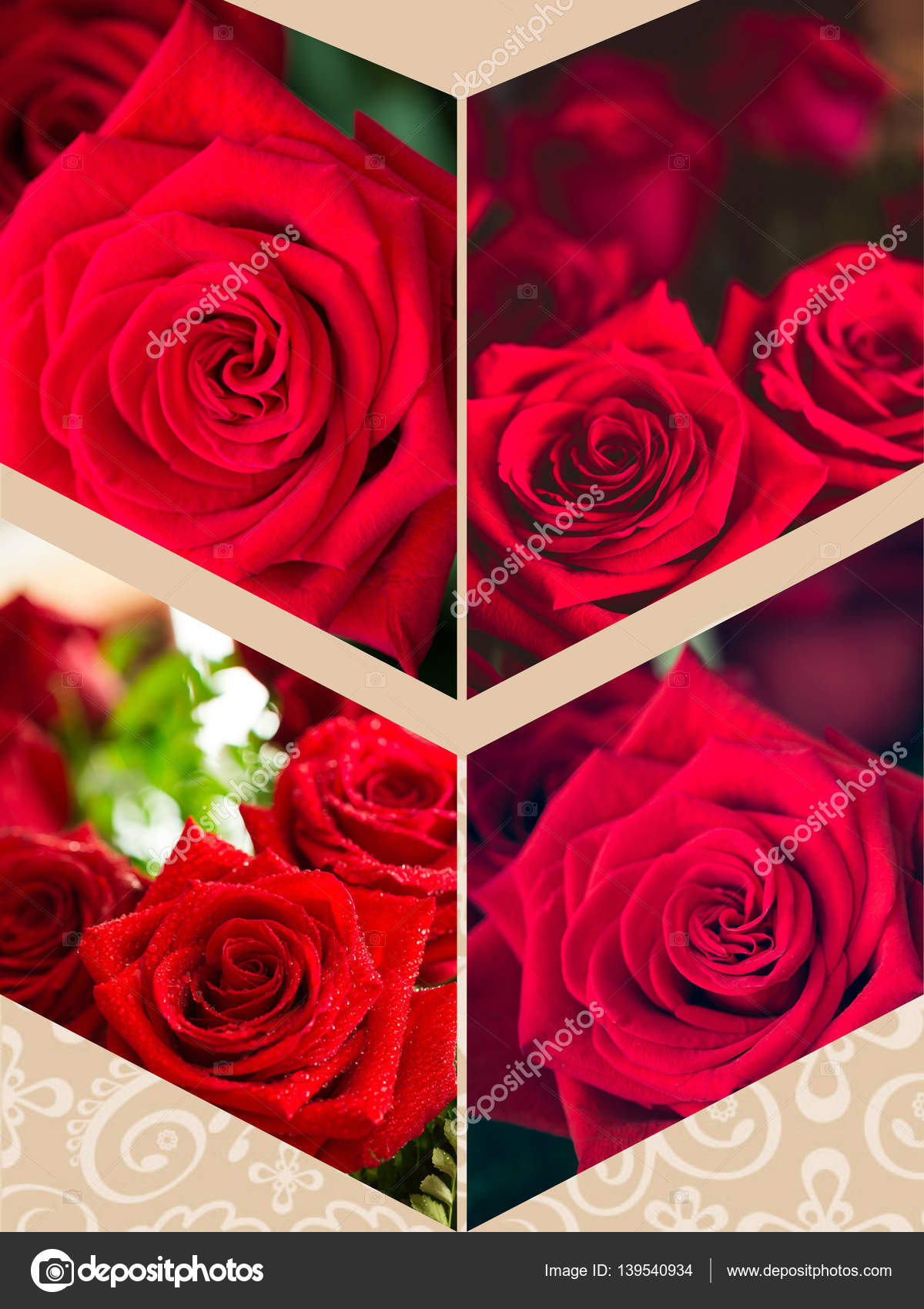 Collage of red rose closeup with drop. — Stock Photo © perszing1982 ...