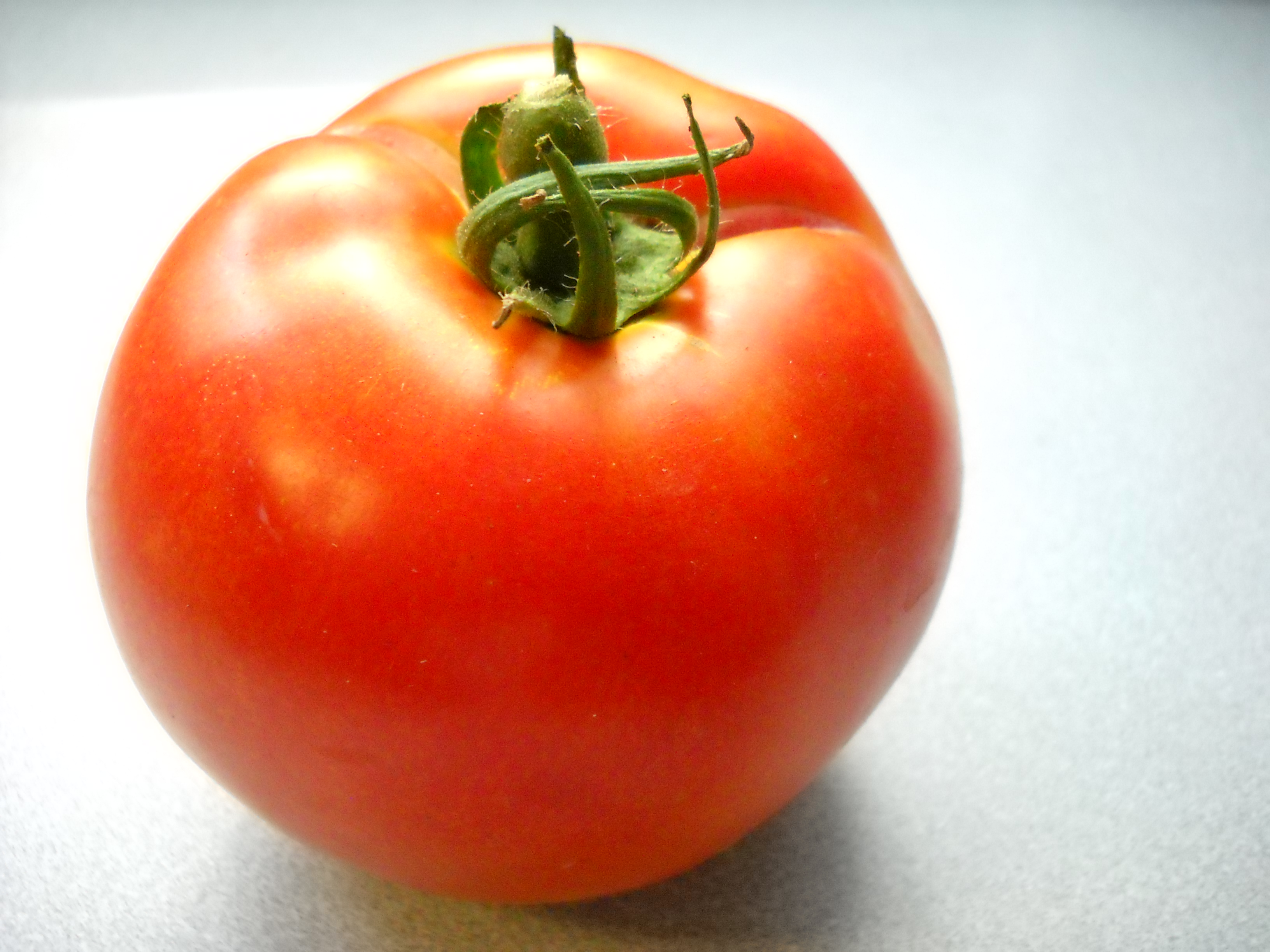 Truth in Tomatoes. : Ruffled Feathers and Spilled Milk