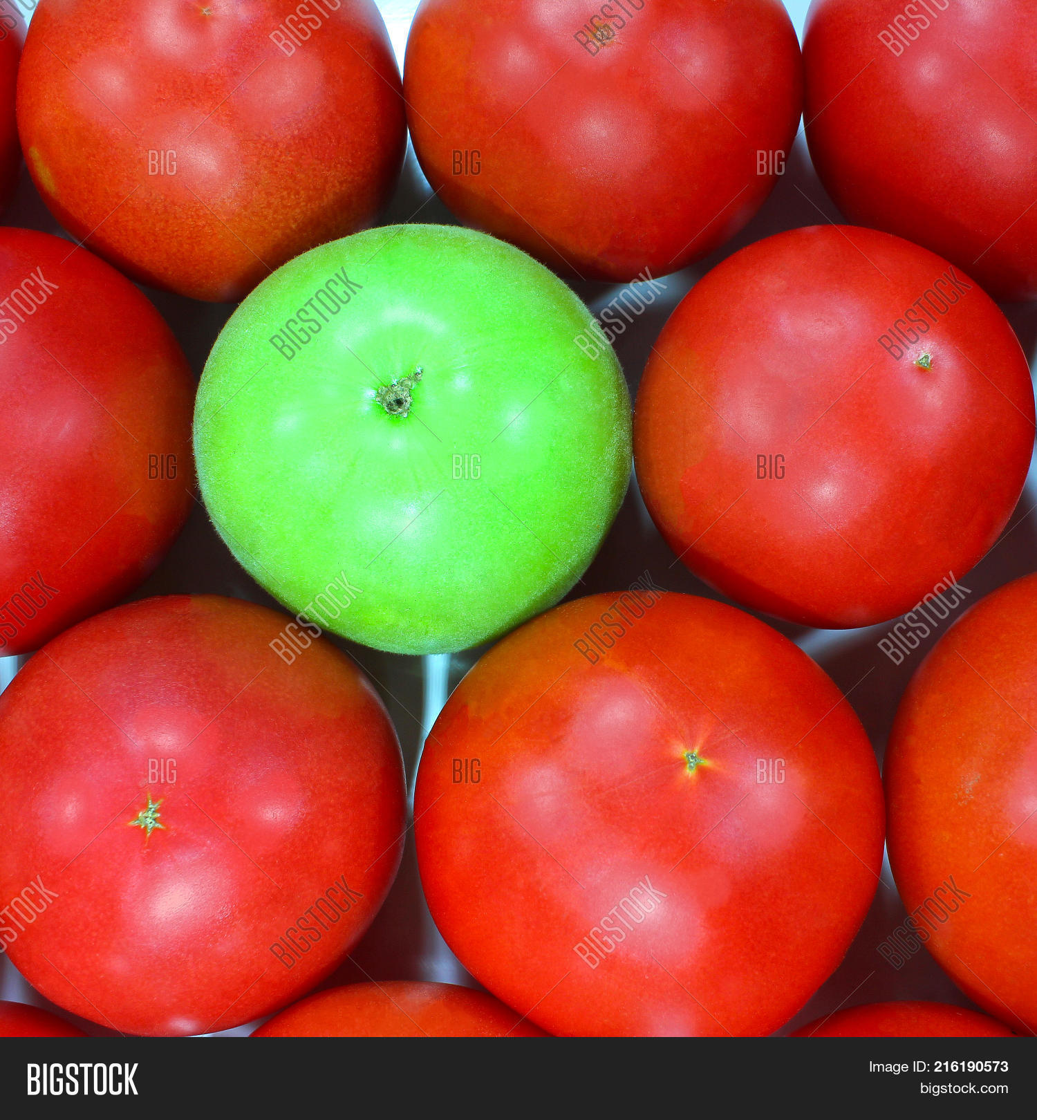 Many Mature Red Tomatoes Green Image & Photo | Bigstock