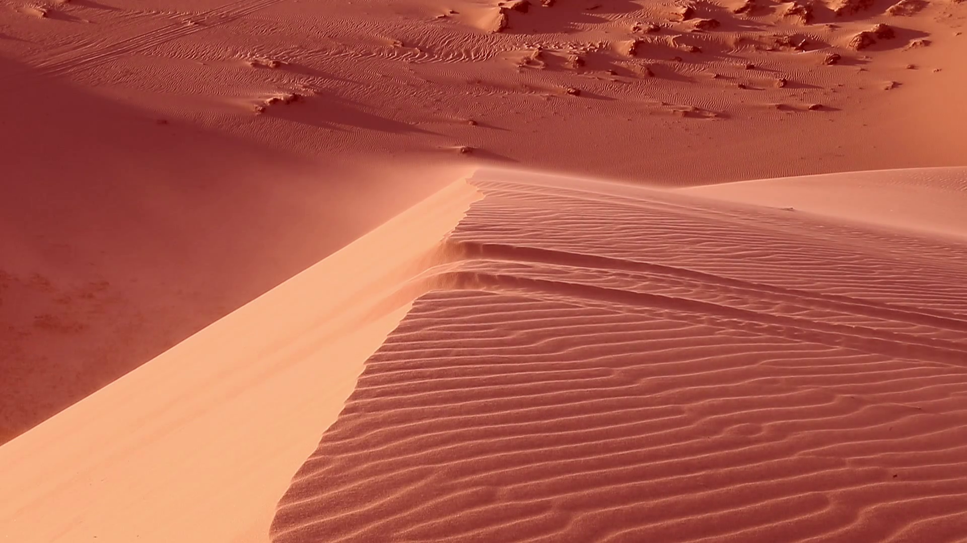Red sand close up Sahara desert Stock Video Footage - Videoblocks