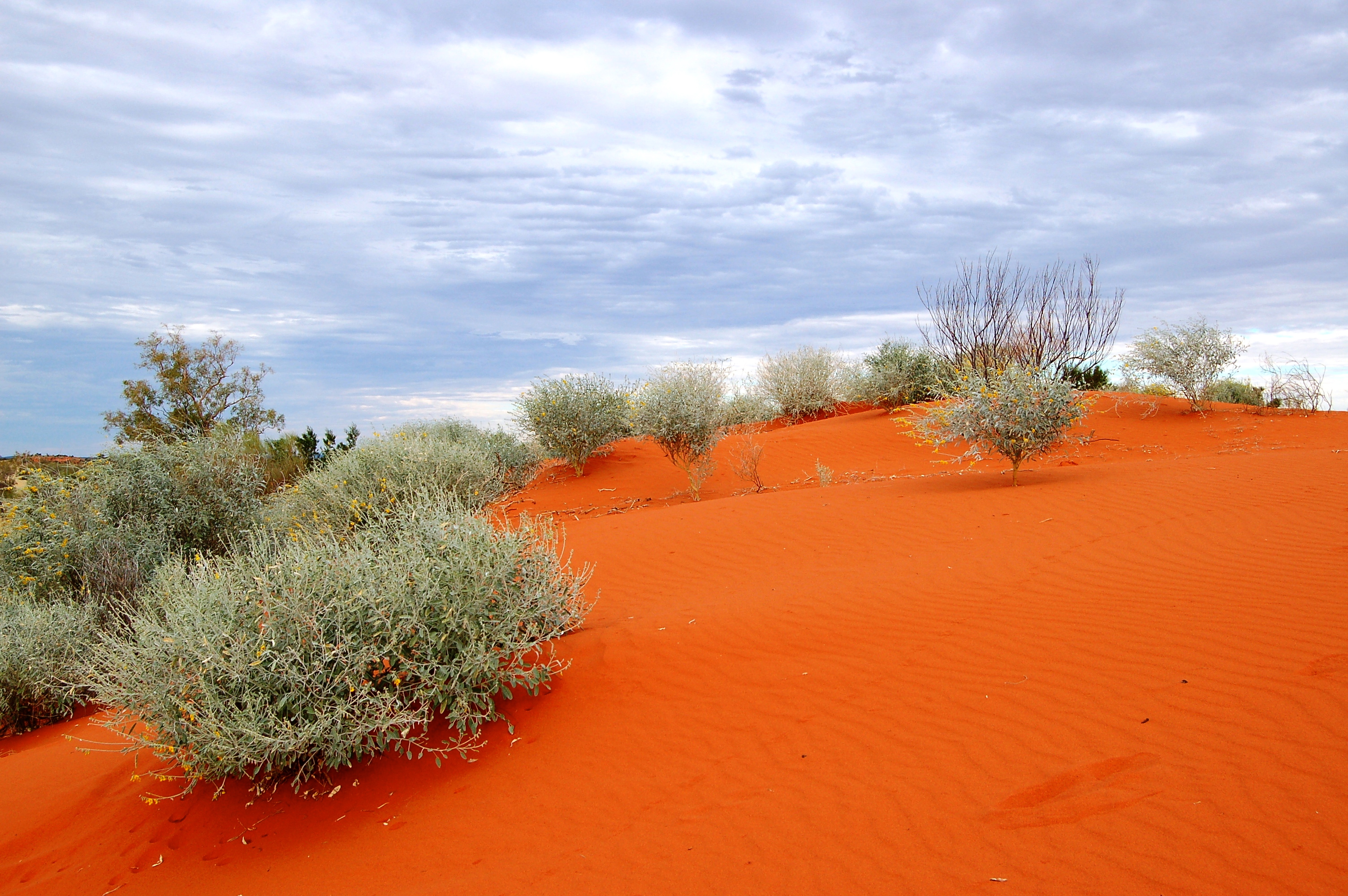 Red Sand dune – Welford NP – XPLORE