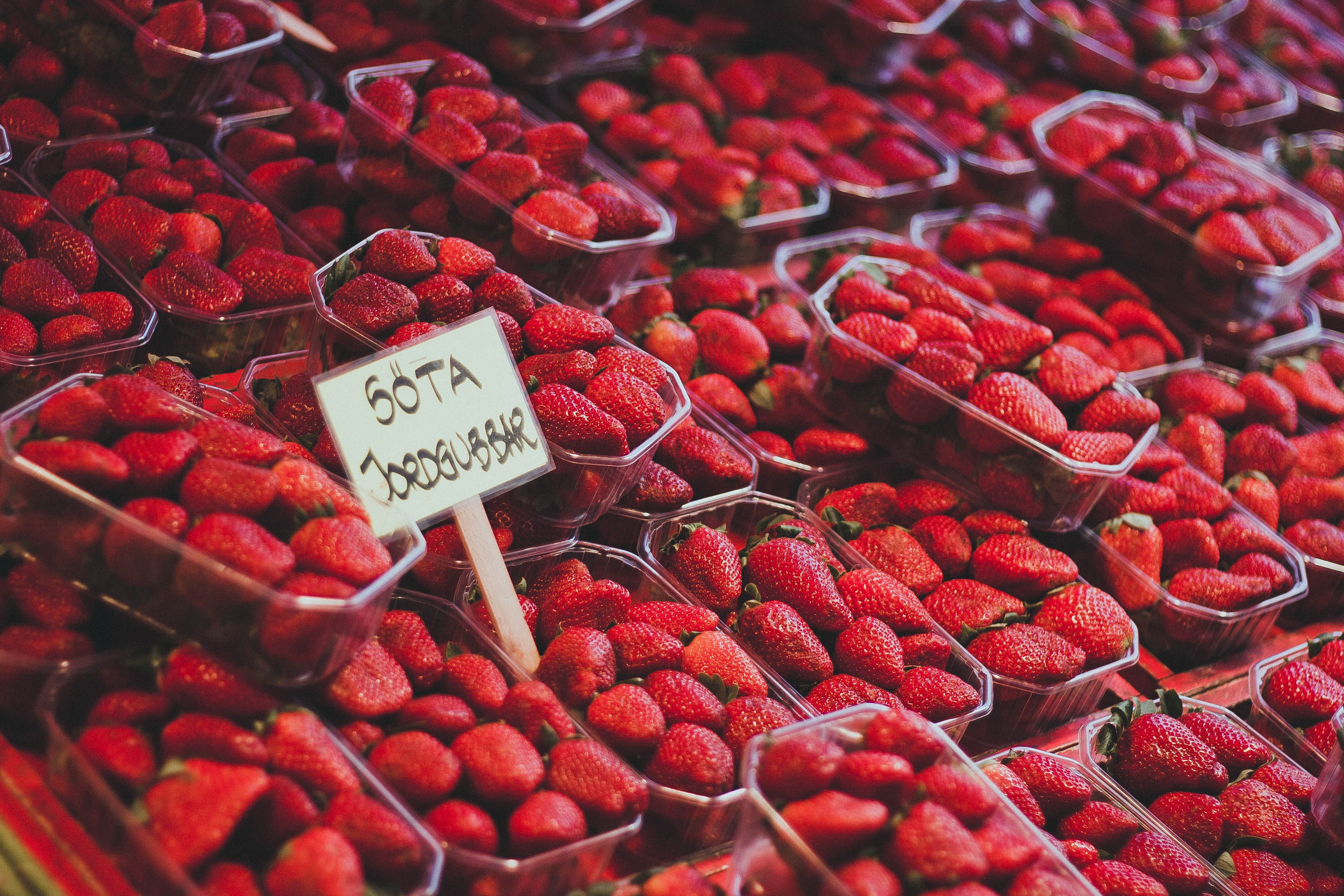 Red strawberry photo