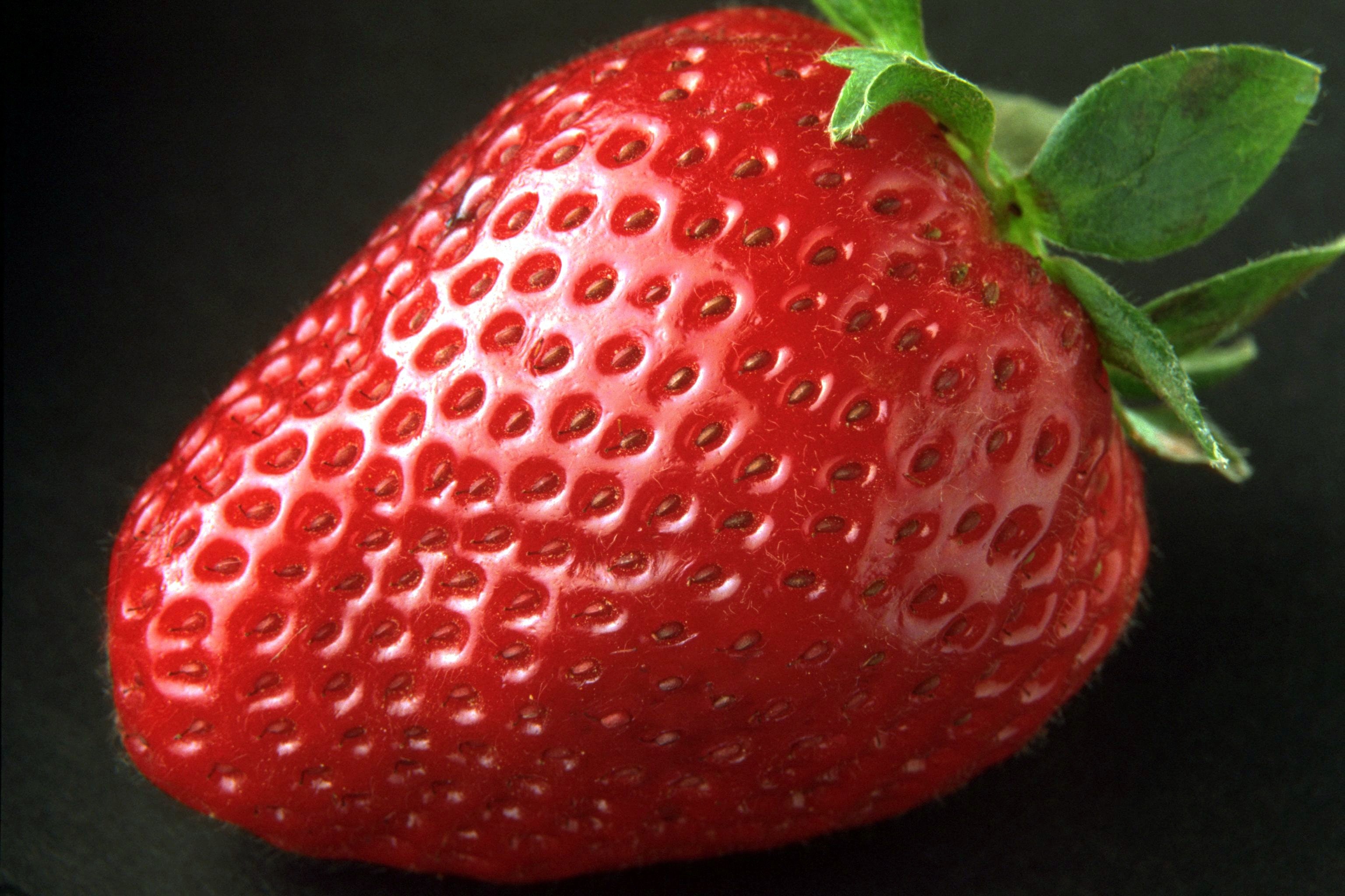 Red Strawberry Fruit · Free Stock Photo