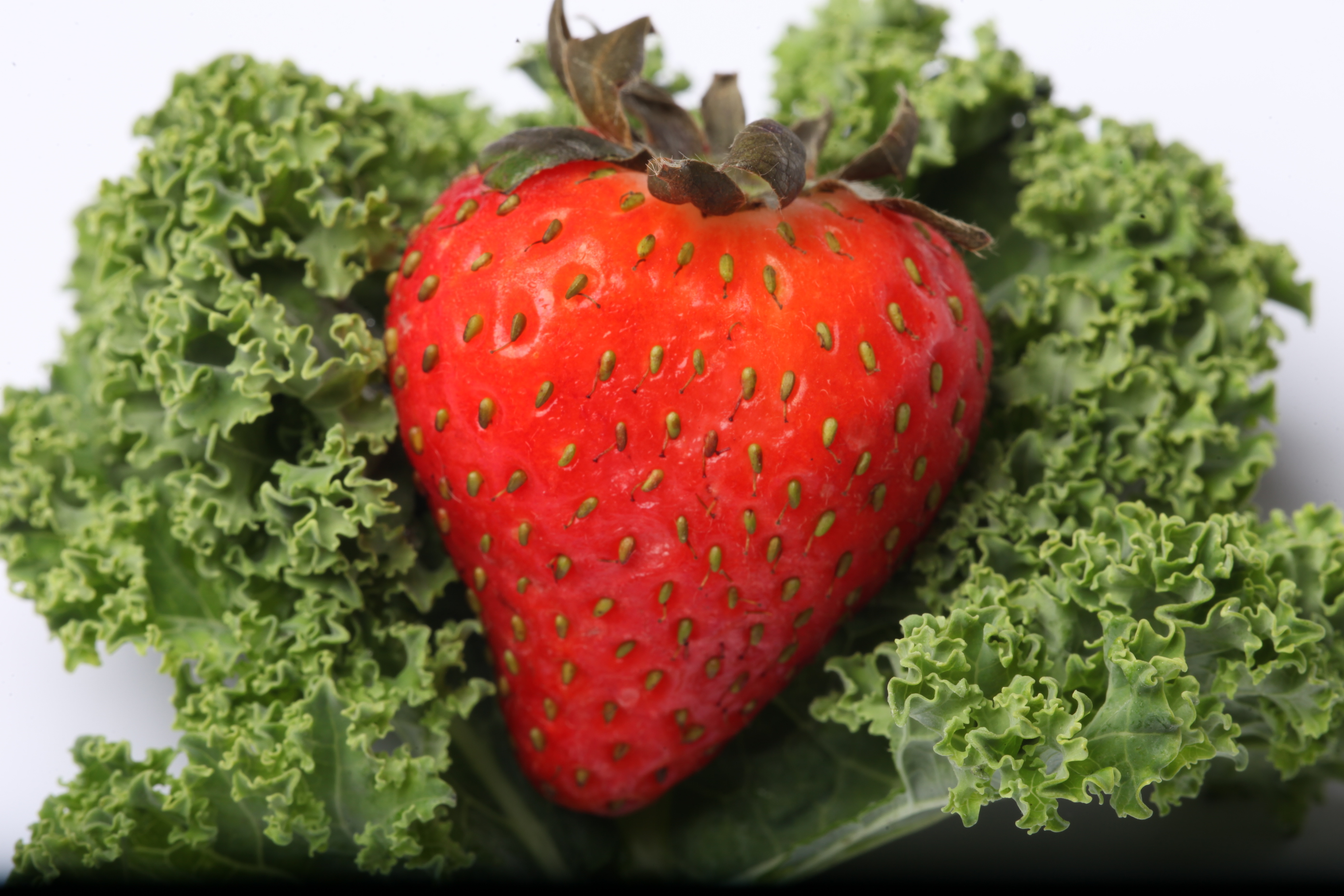 Red strawberry on kale photo