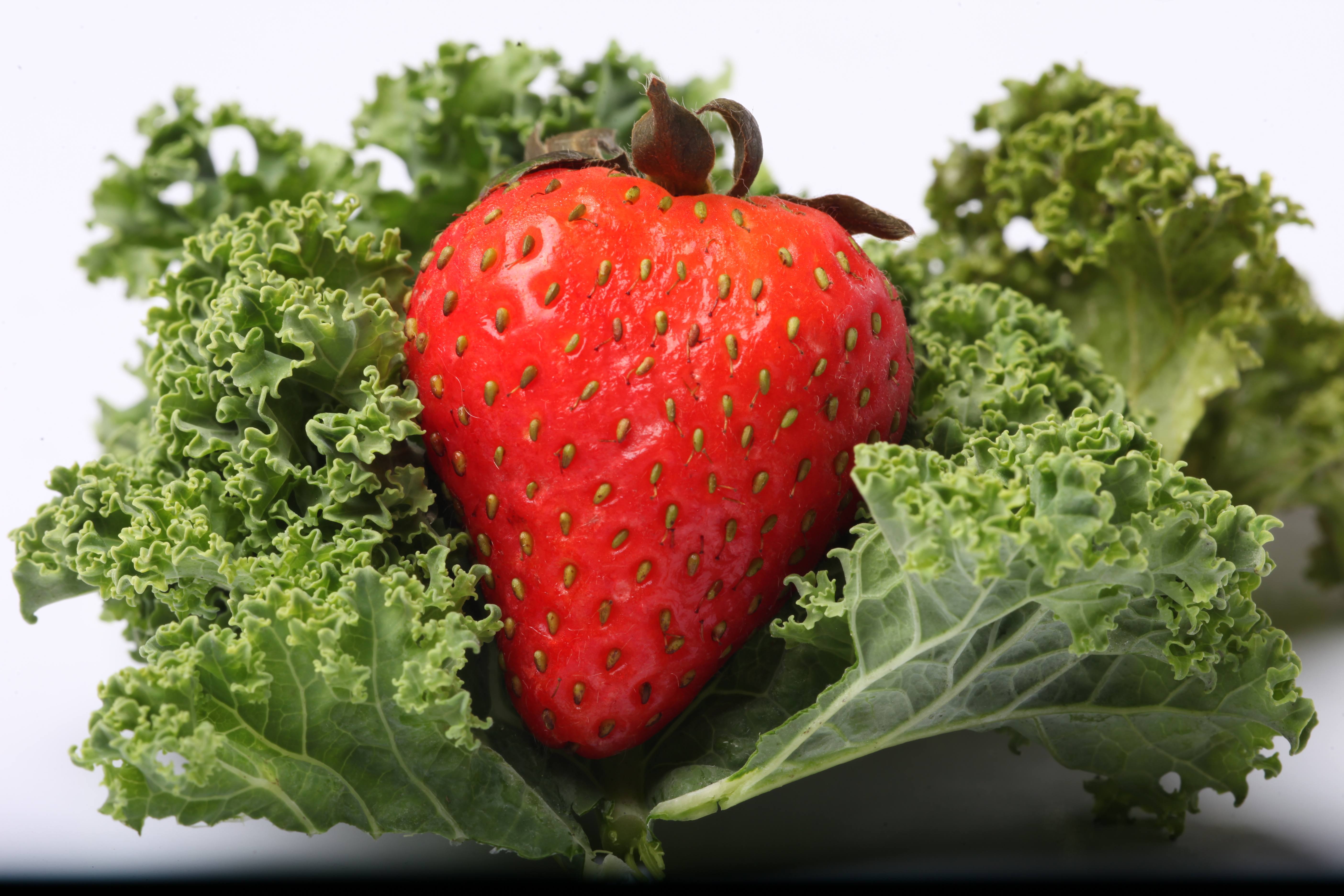 Red strawberry on kale photo