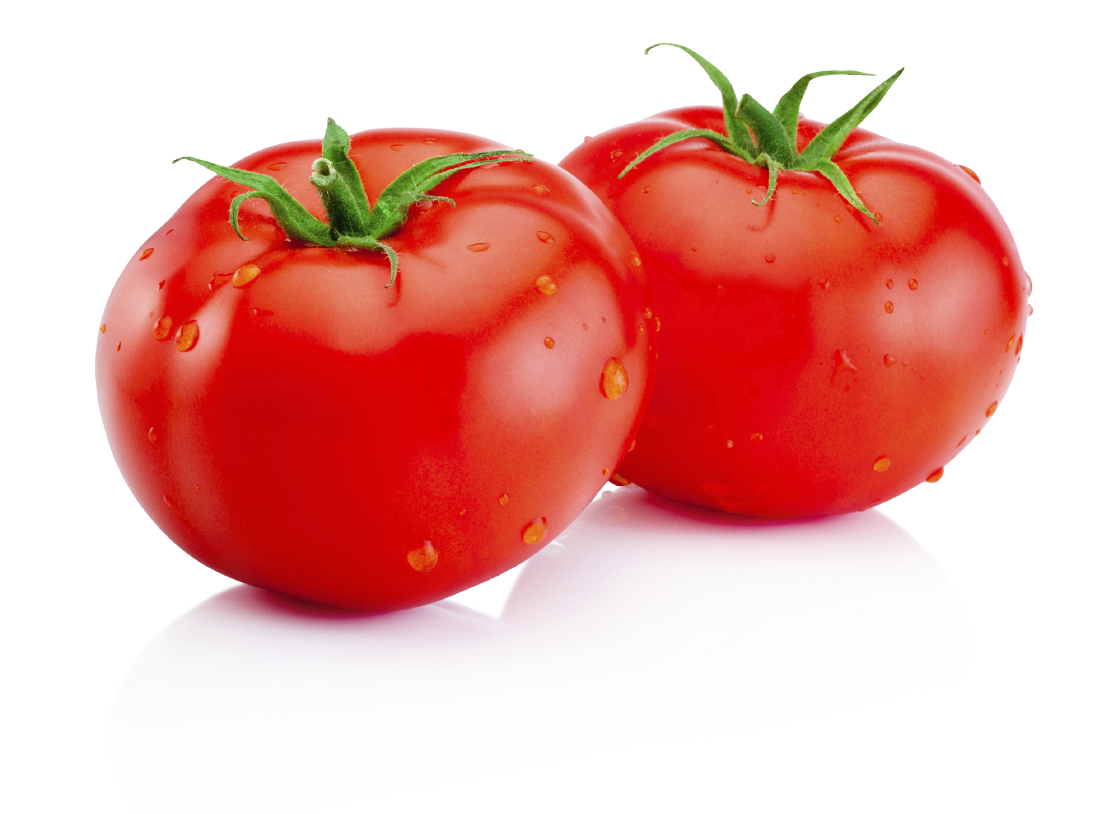 Two wet red tomatoes isolated on white background - UC Davis ...