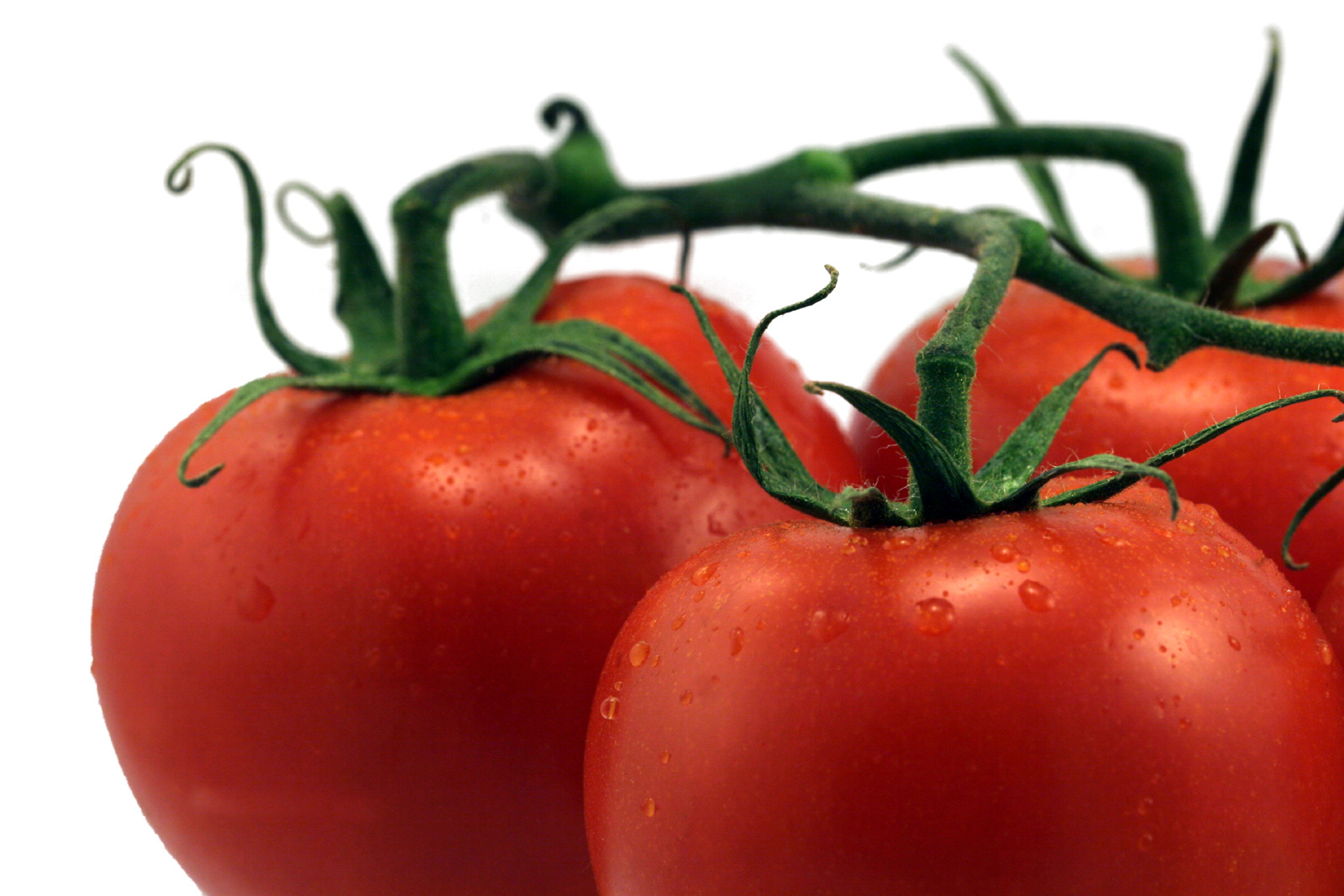 Red tomatoes photo