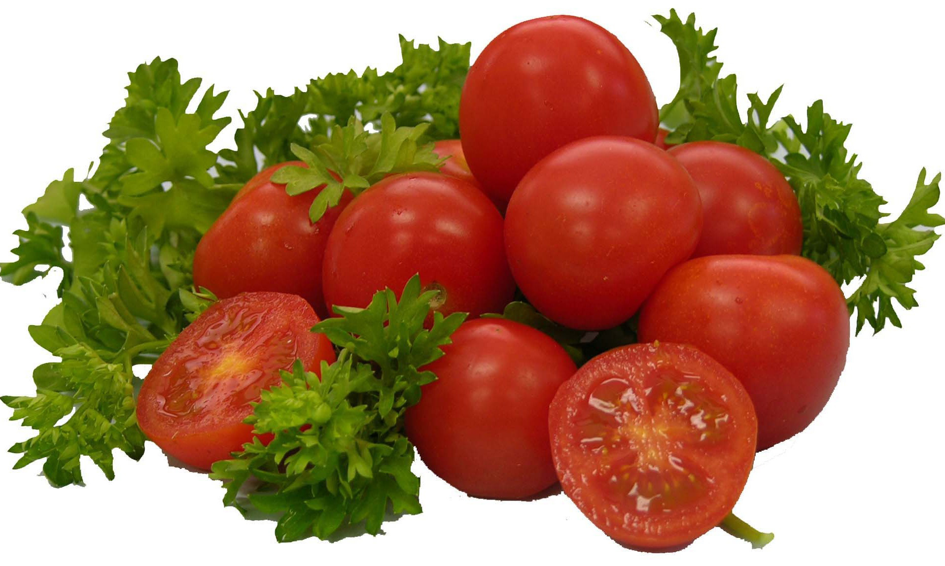 Red tomatoes photo