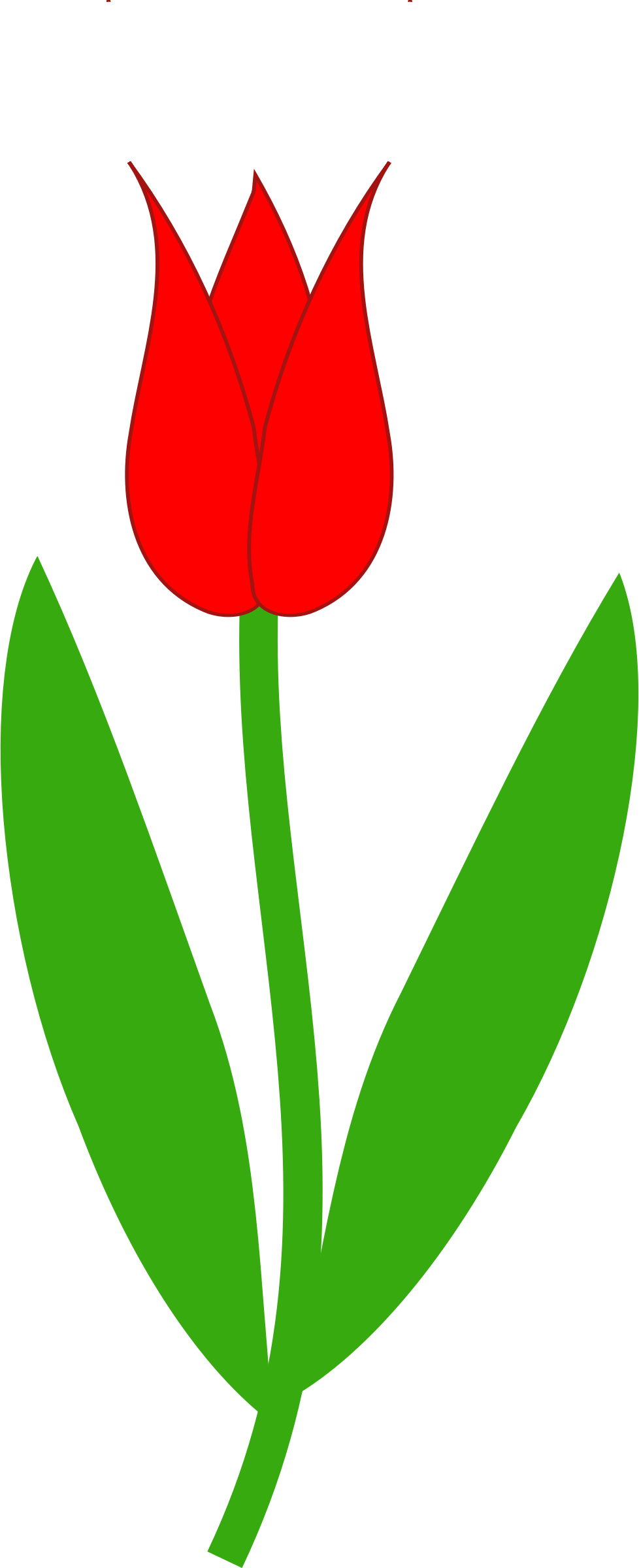 Clipart - Red Tulip