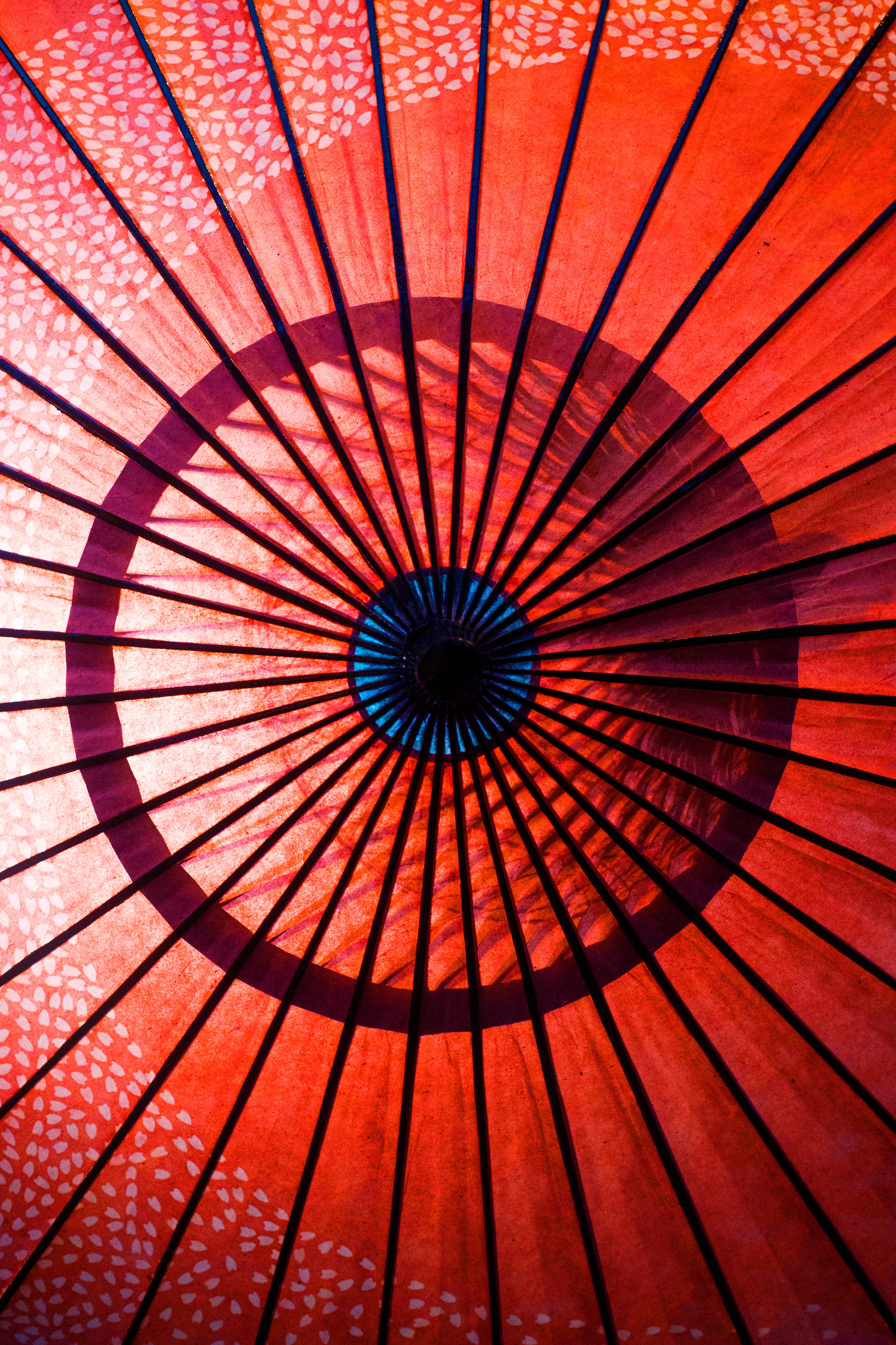Red umbrella photo