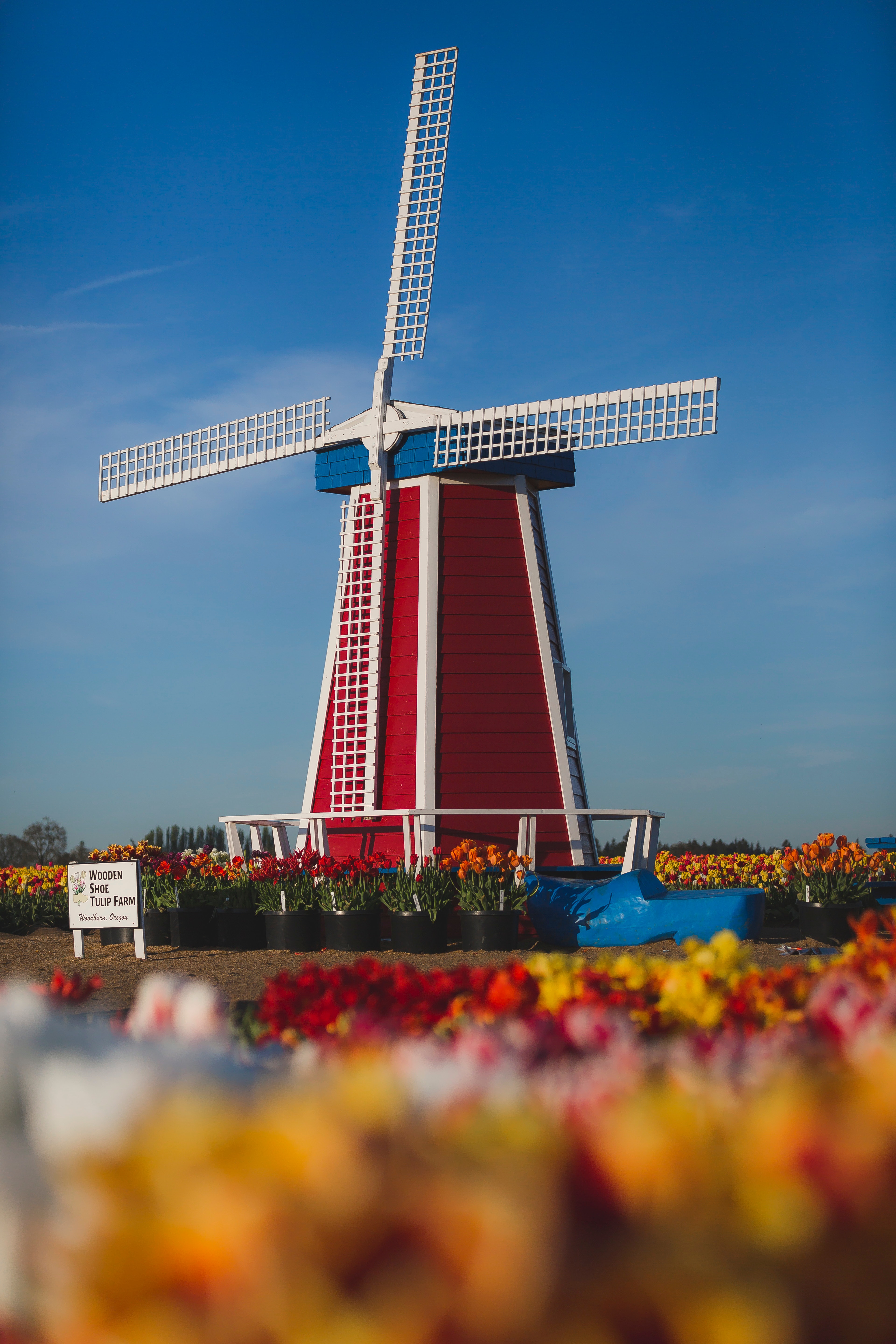 Red, white, and blue windmill photo
