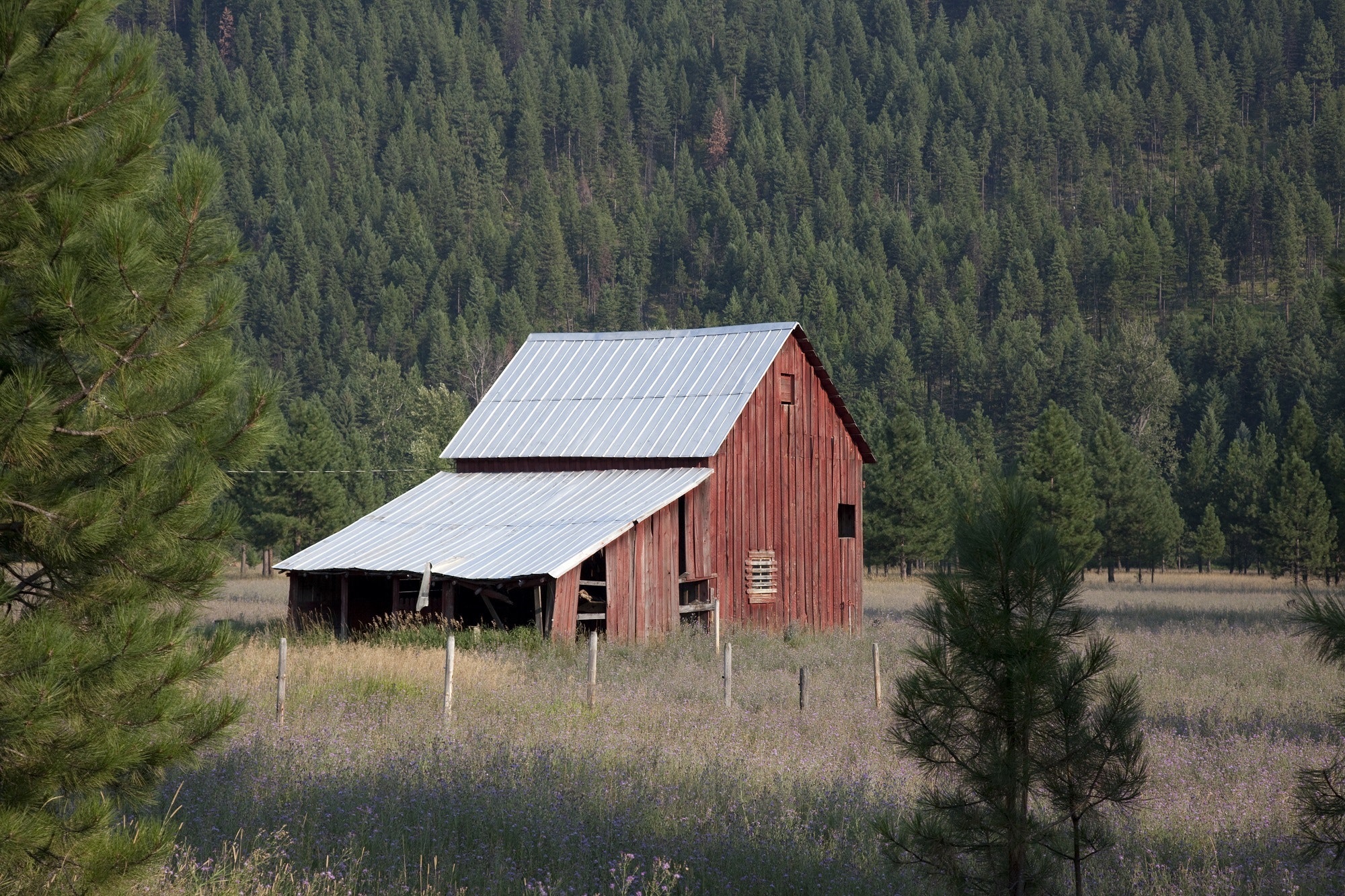 Red wooden barn during daytime photo