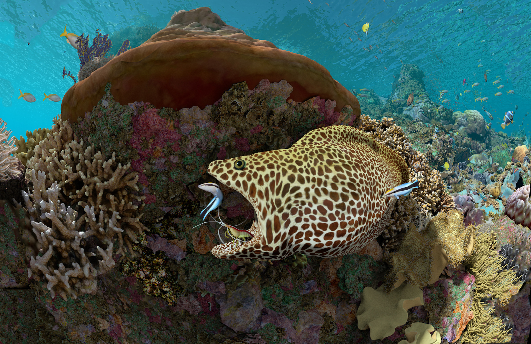 Expedition Reef | California Academy of Sciences