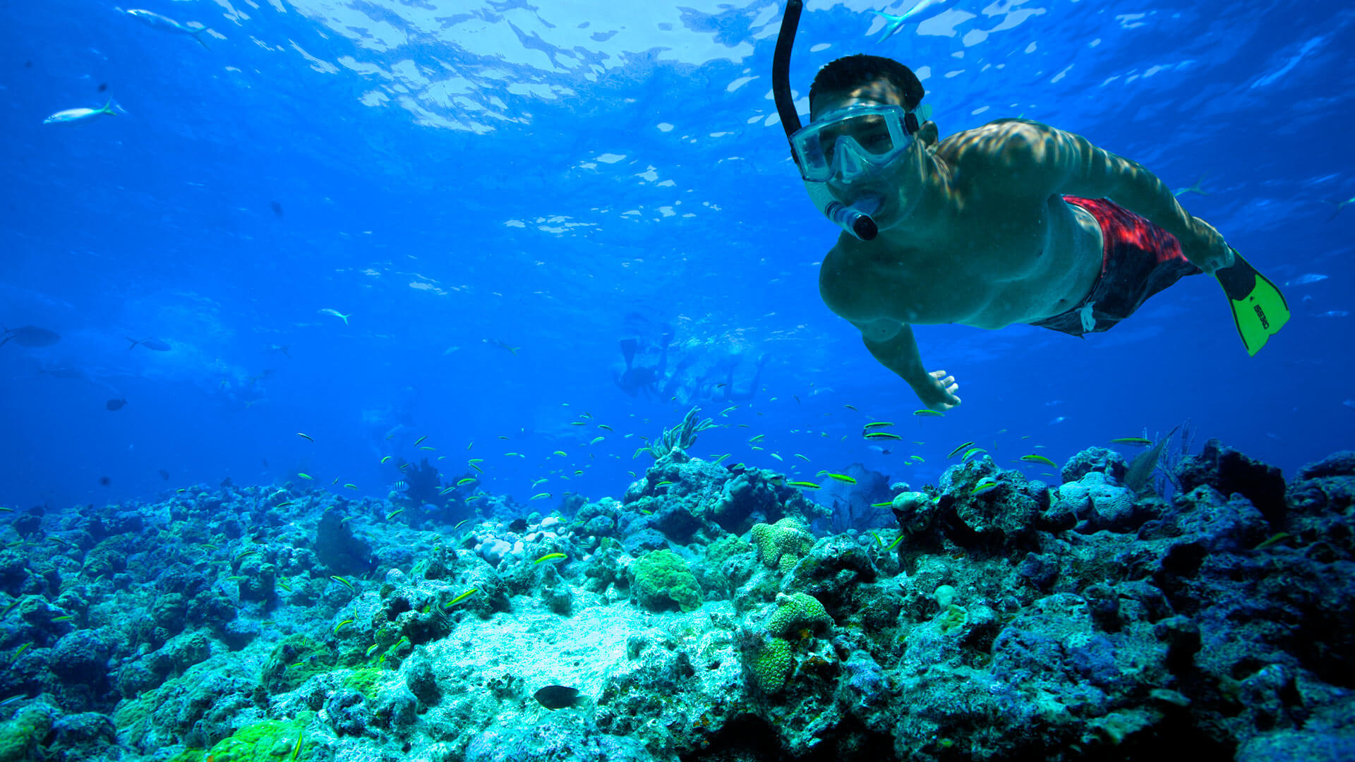 Key West Snorkeling | Coral Reef Snorkeling in Key West