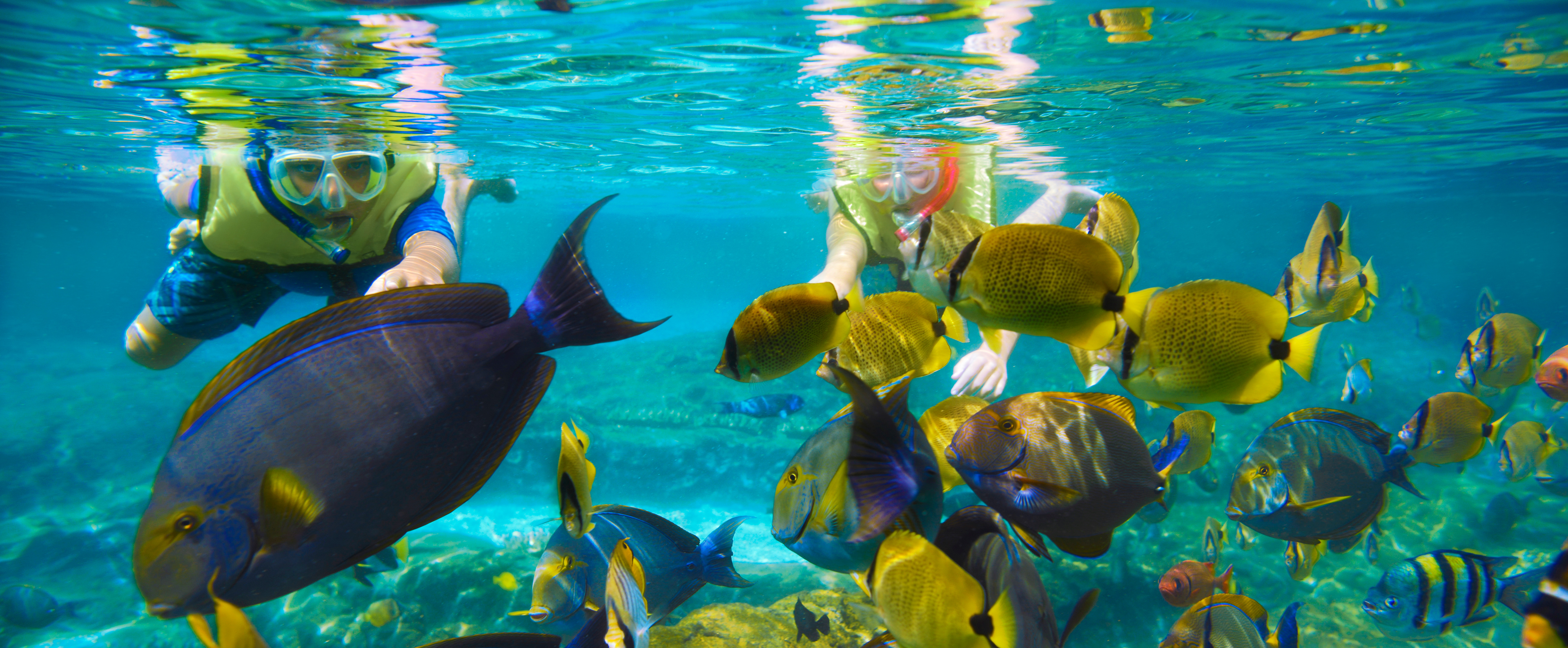 Rainbow Reef | Snorkeling | Aulani Hawaii Resort & Spa