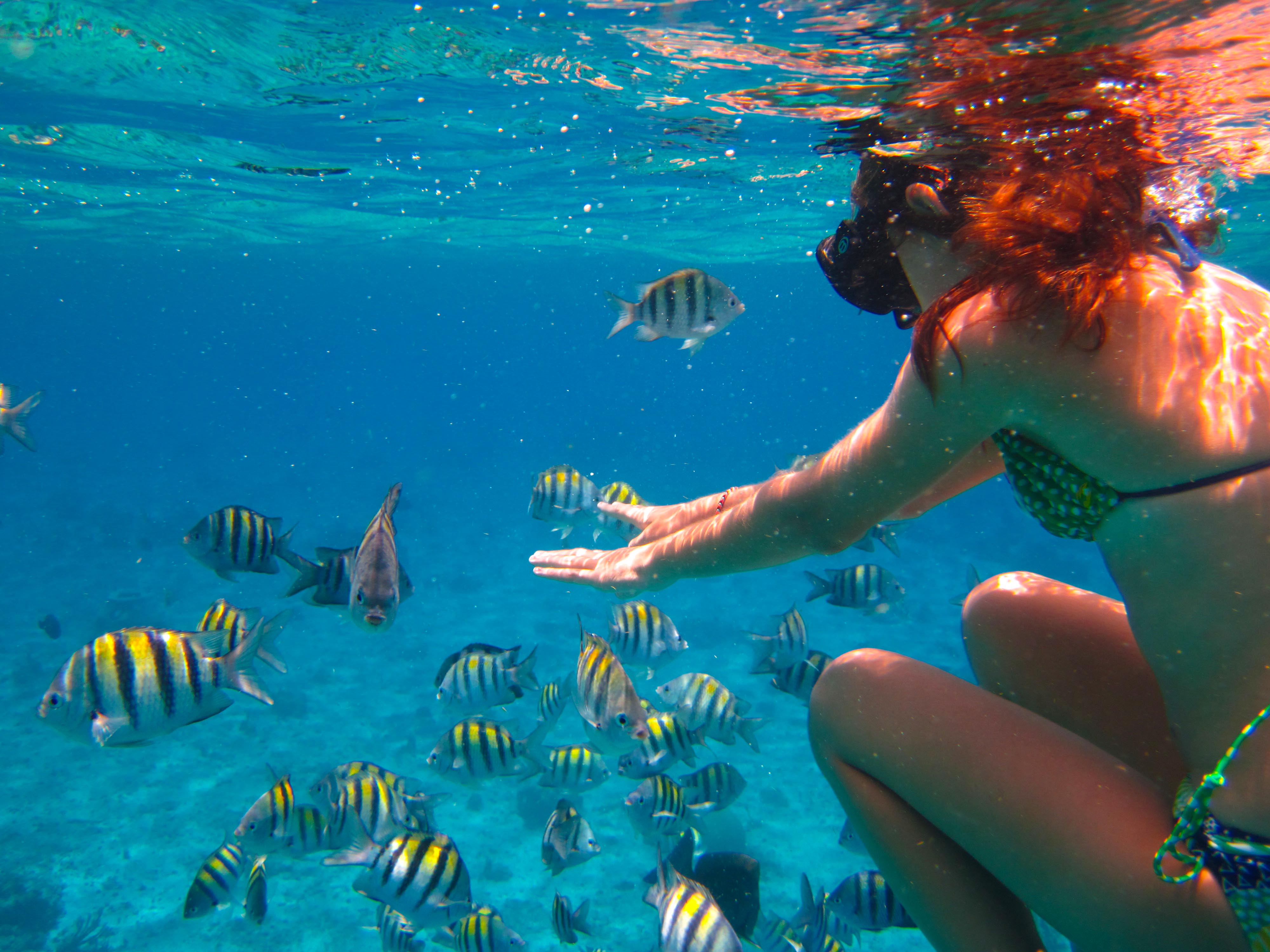 Cozumel Palancar Snorkeling Tour - Cozumel Cruise Excursions