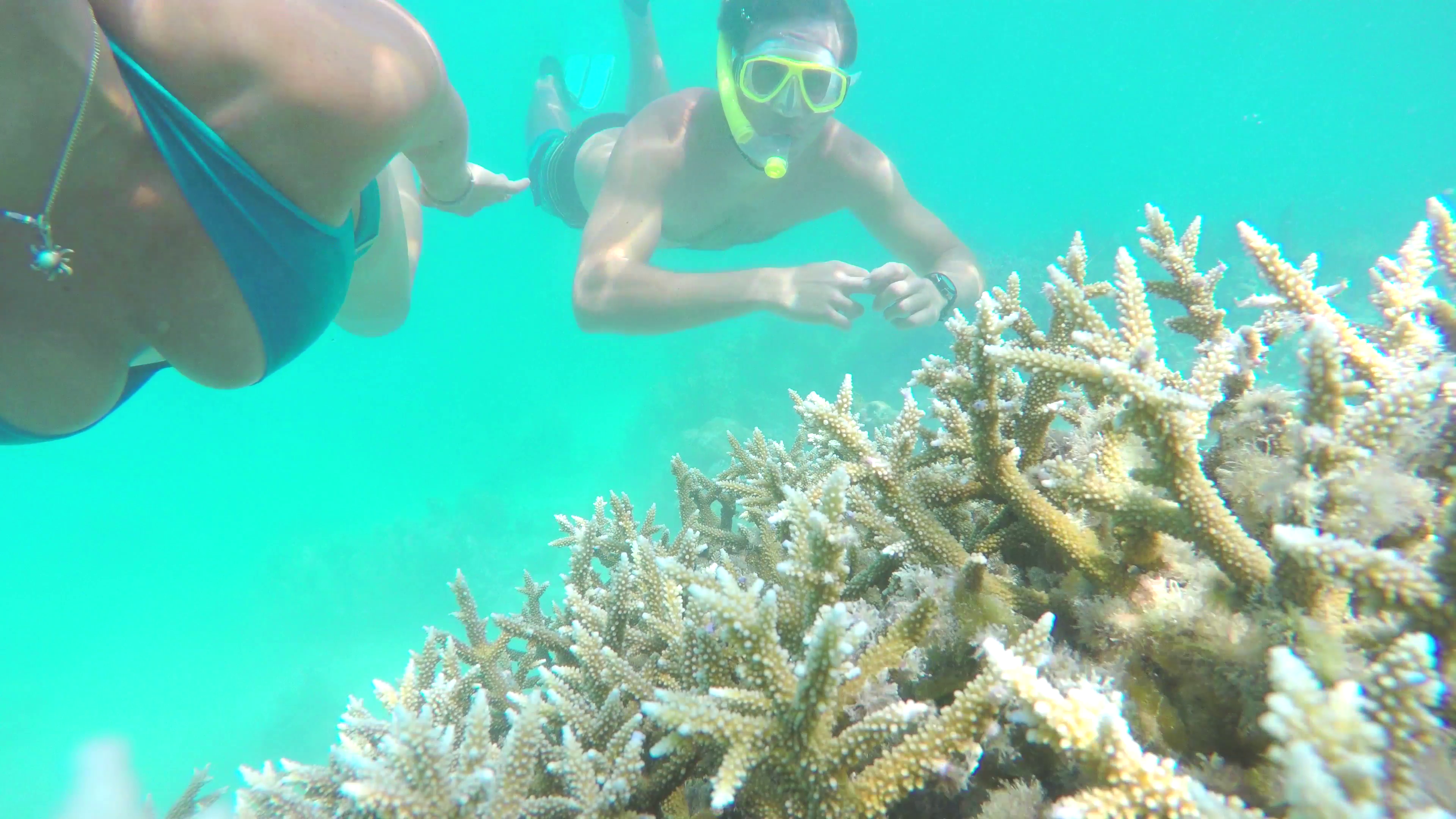 UNDERWATER: Couple of divers snorkeling the reef in Indian ocean ...