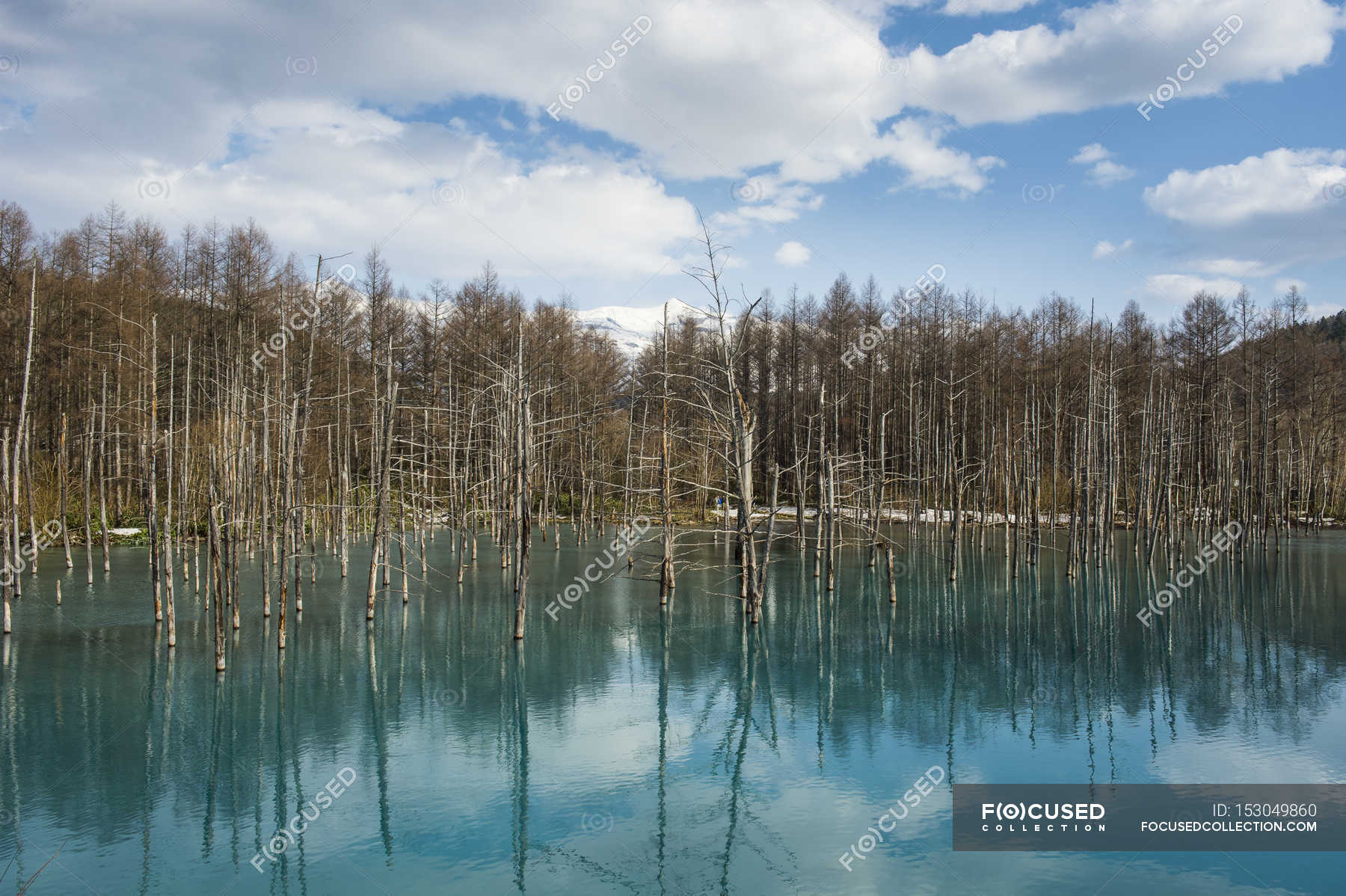 Blue Pond at Daisetsuzan National Park — Stock Photo | #153049860