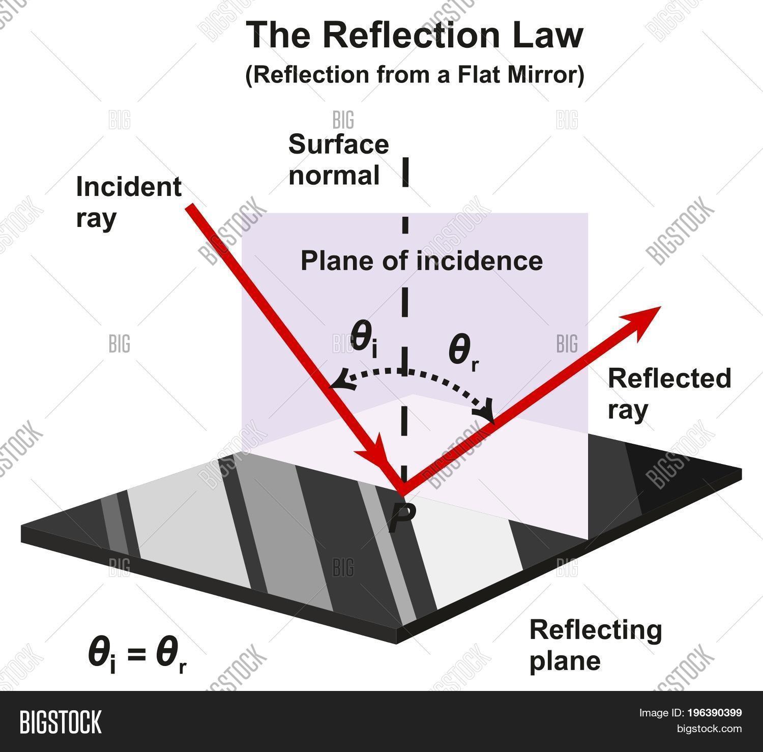 Reflection Law Infographic Diagram Image & Photo | Bigstock