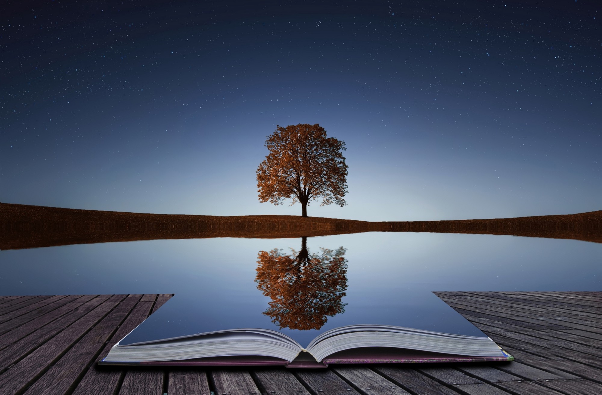 Why You Should Harness The Power Of Reflection – Thrive Global – Medium