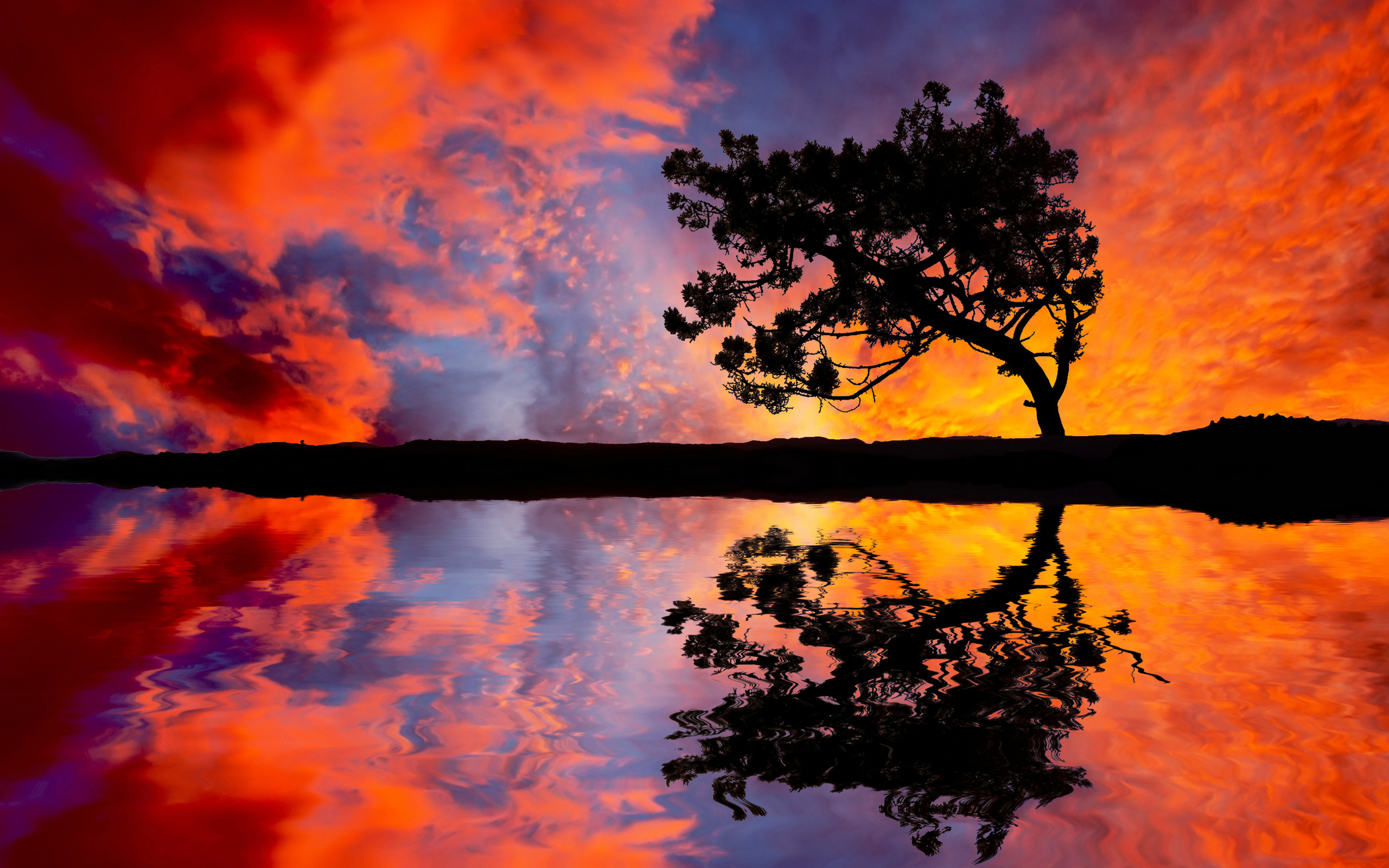 Reflection in Water Tree Sunset - HDWallpaperFX