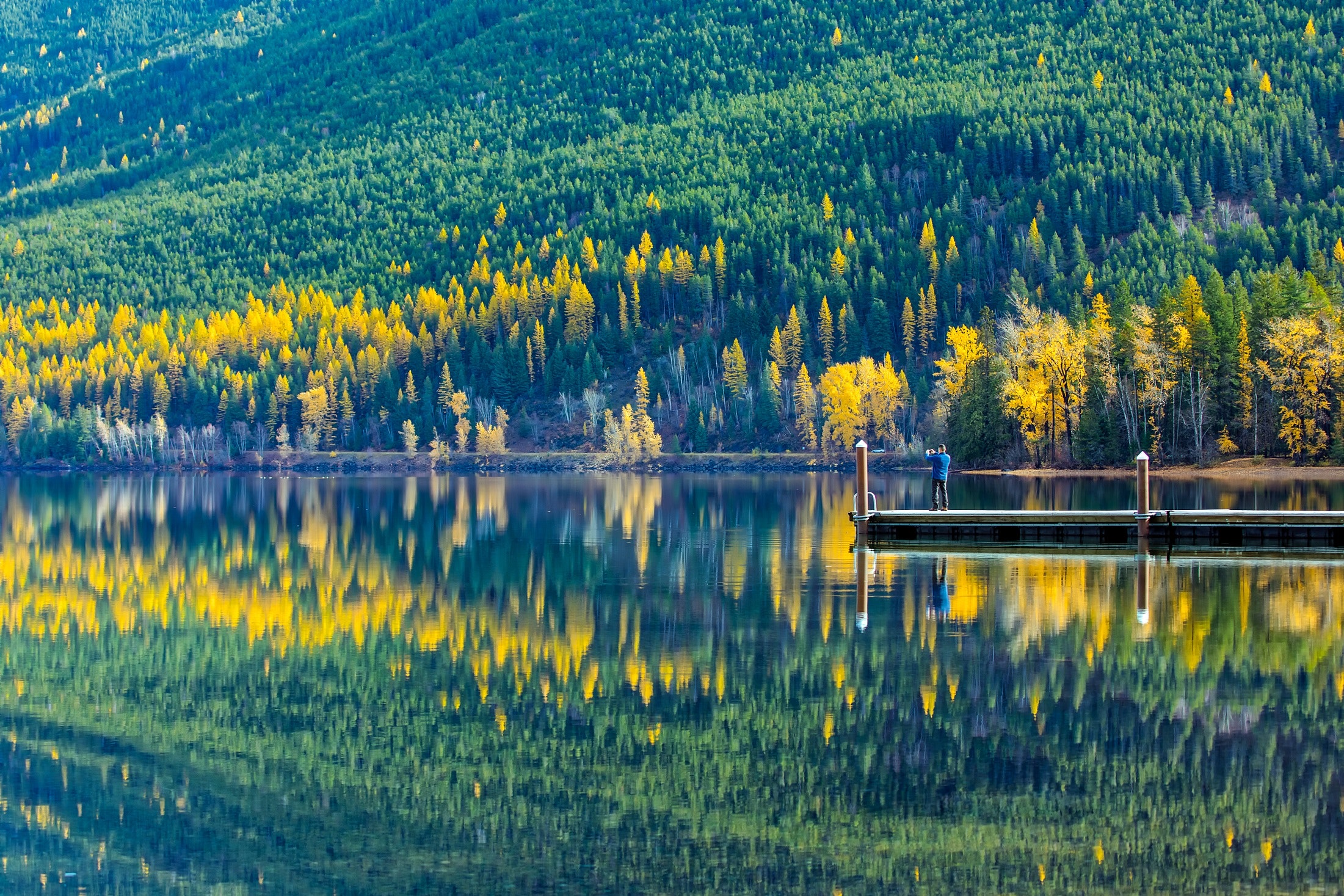 Reflection of trees in lake photo