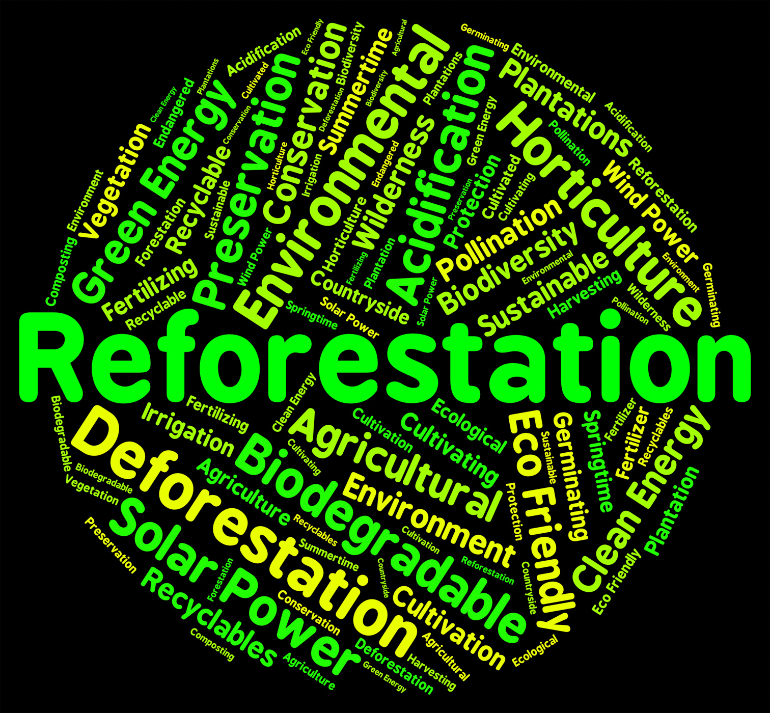 Reforestation word shows again woodlands and words photo