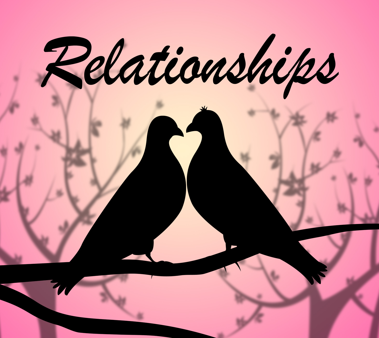 Relationships doves shows find love and affection photo