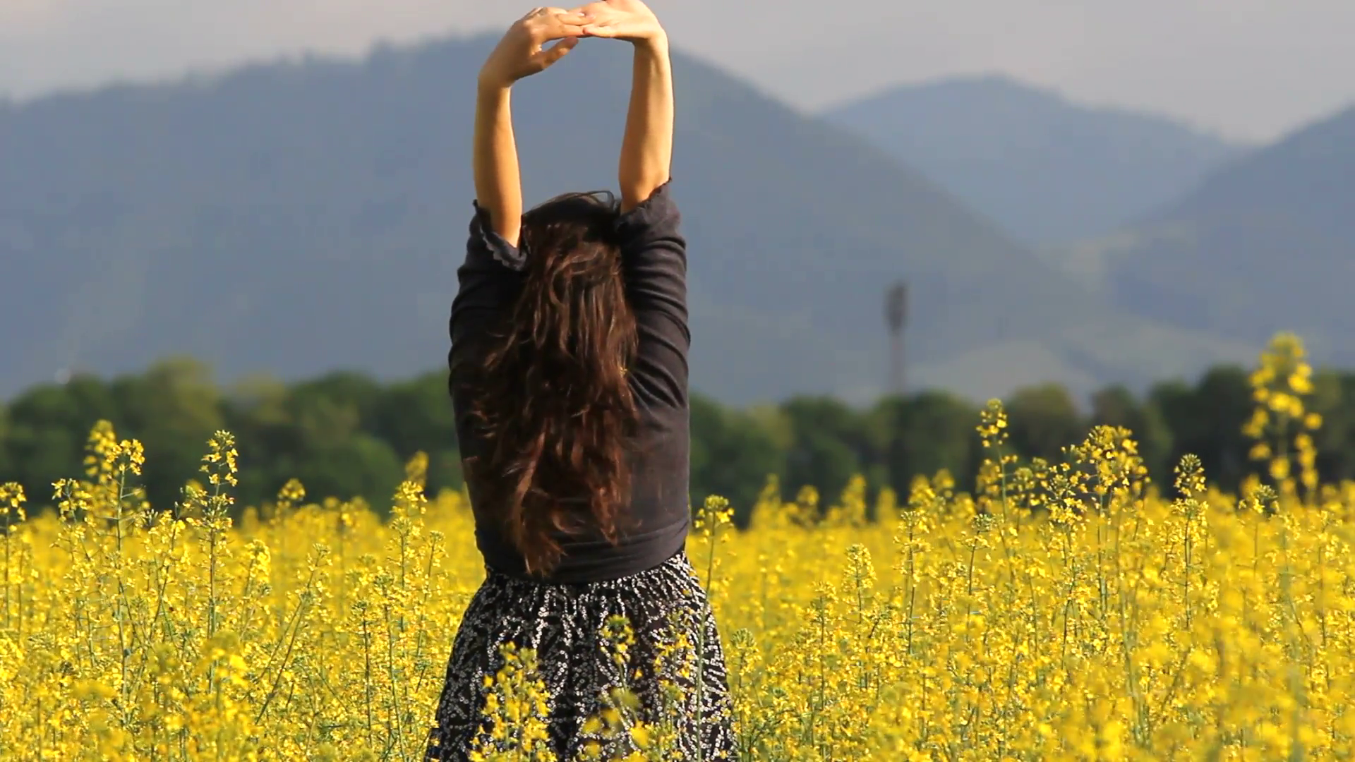 Young lady relax in nature, rise up hands in yellow flower field ...