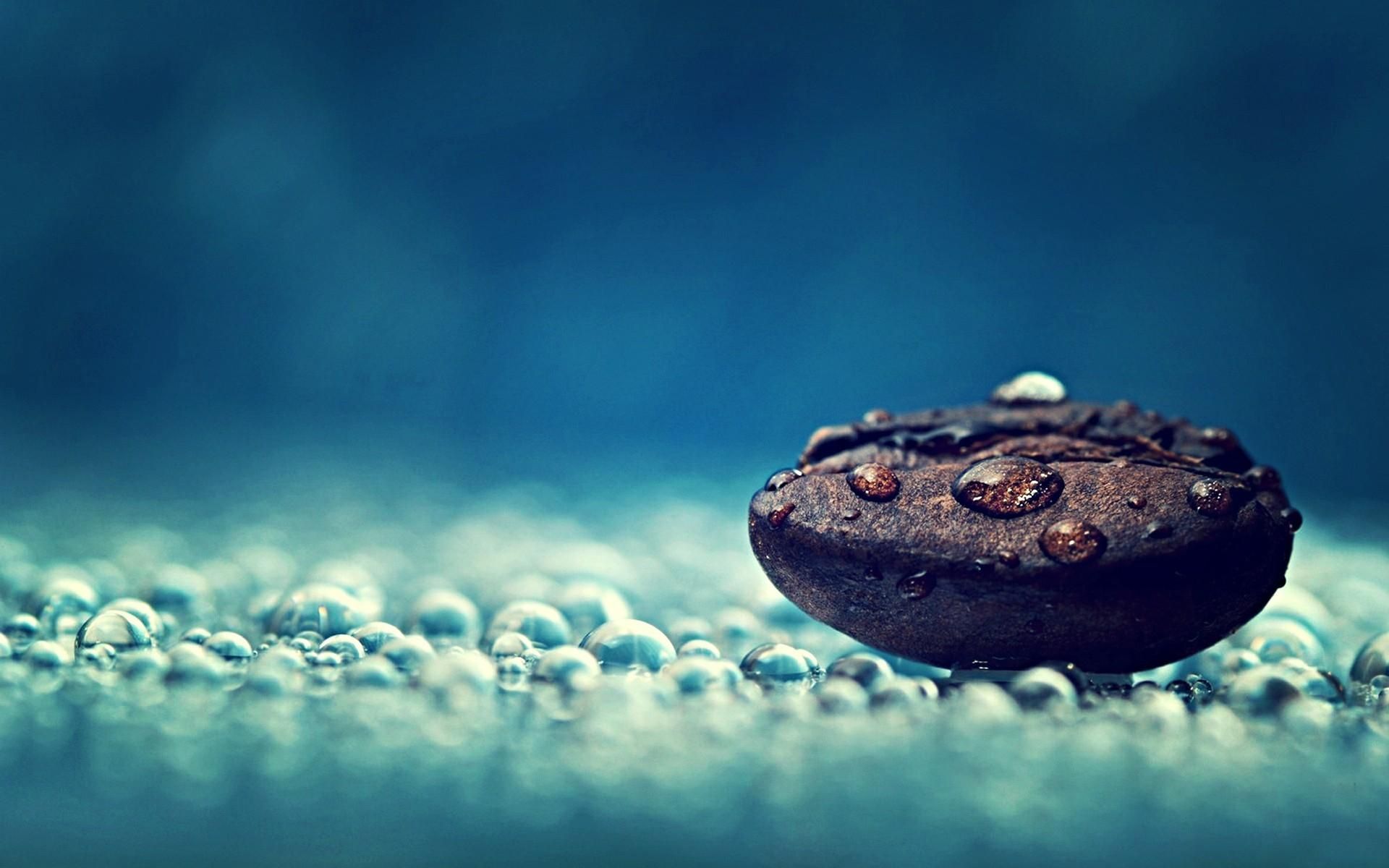 Water drops Relaxation Coffee beans Macro Relaxing HD Wallpapers ...
