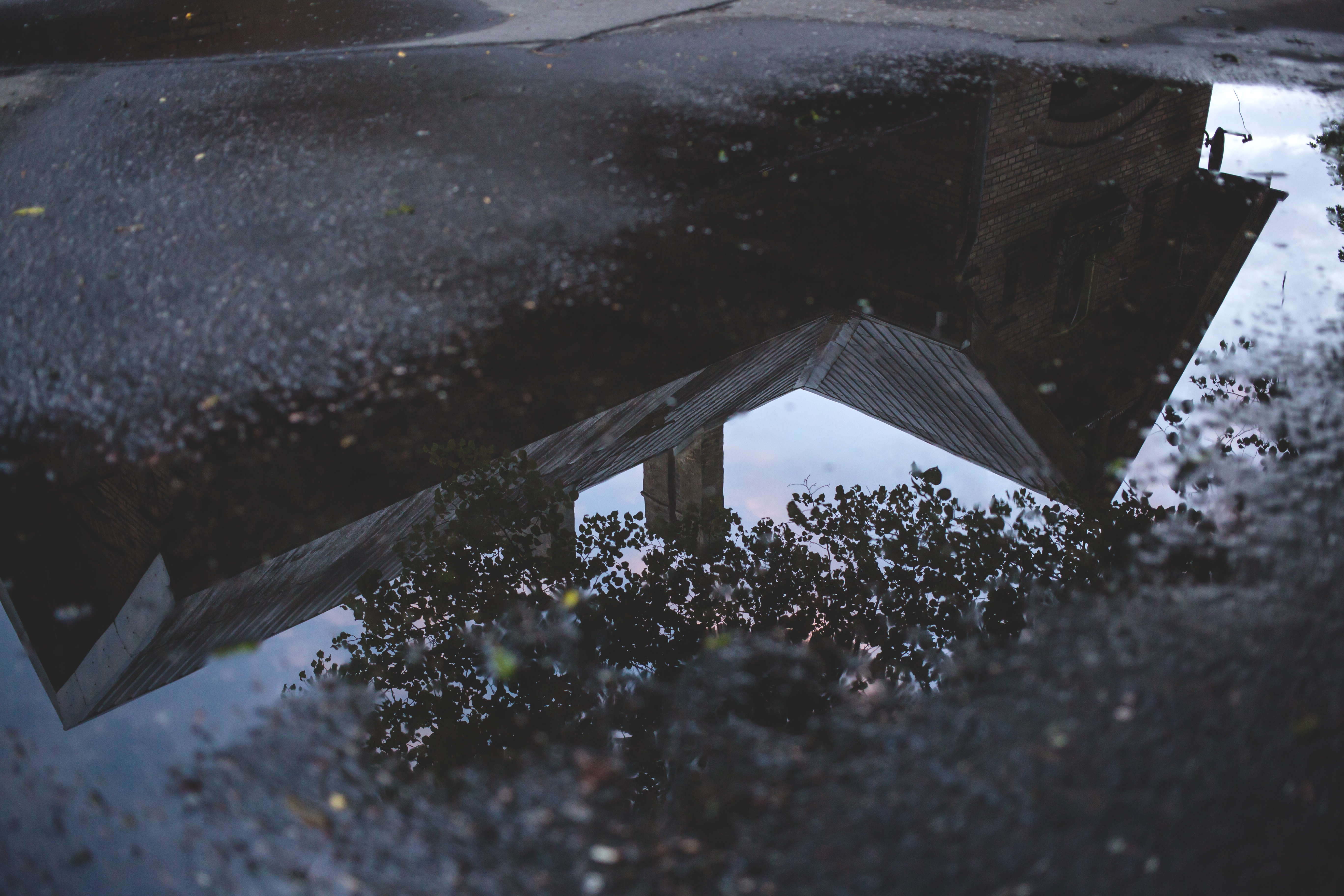 Relfection in the puddle, Asphalt, Reflection, Water, Trees, HQ Photo