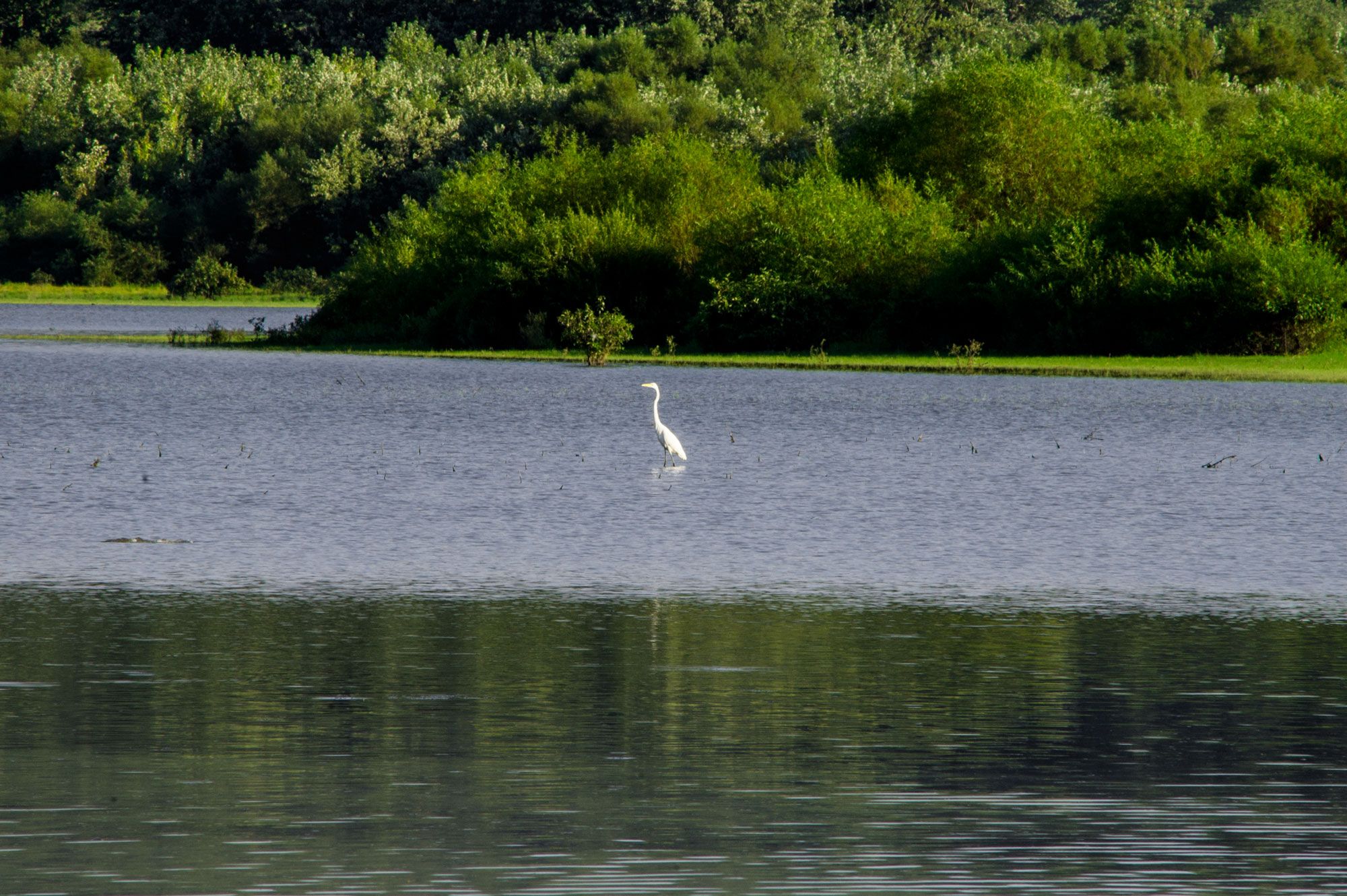 Crooked Creek Waterfowl Resting Area - Lake Monroe - Brown County ...