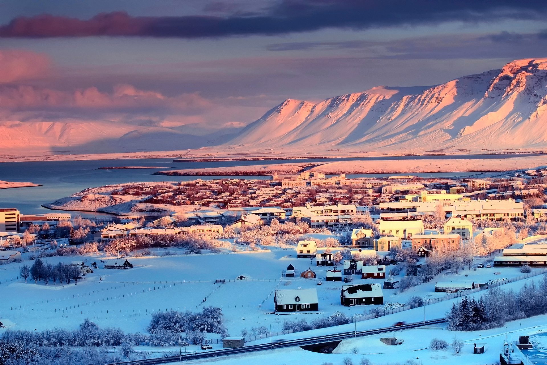 iceland reykjavik town capital houses winter snow tree mountain ...