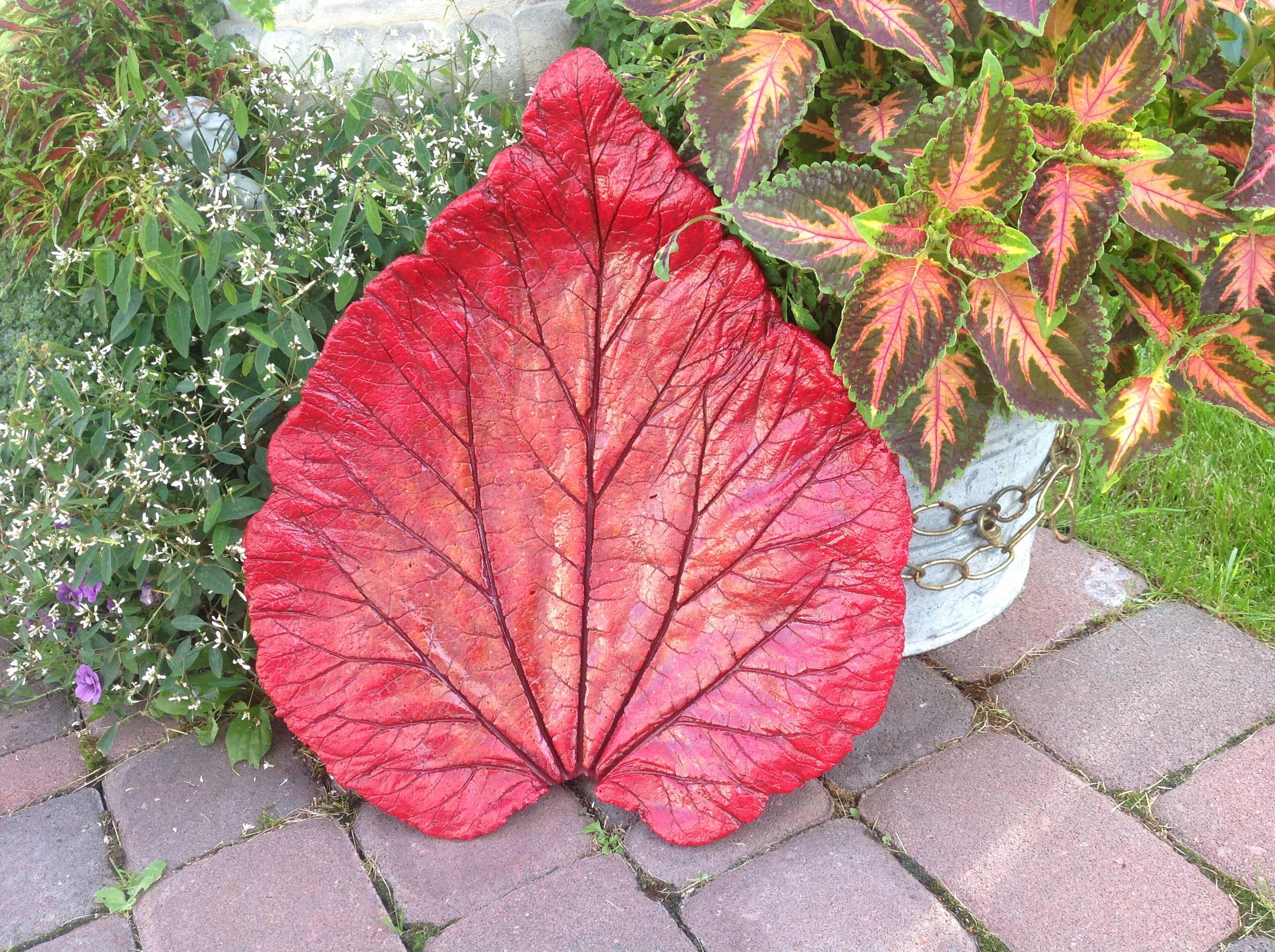 Concrete rhubarb leaf - bright red and yellow centre. BEAUTIFUL ...