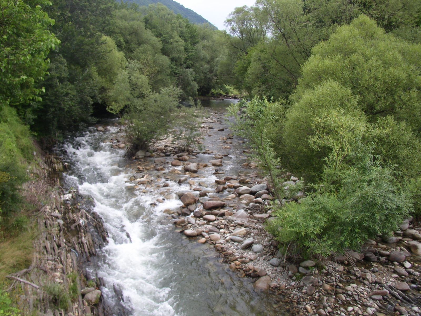 Ribarica, tributary