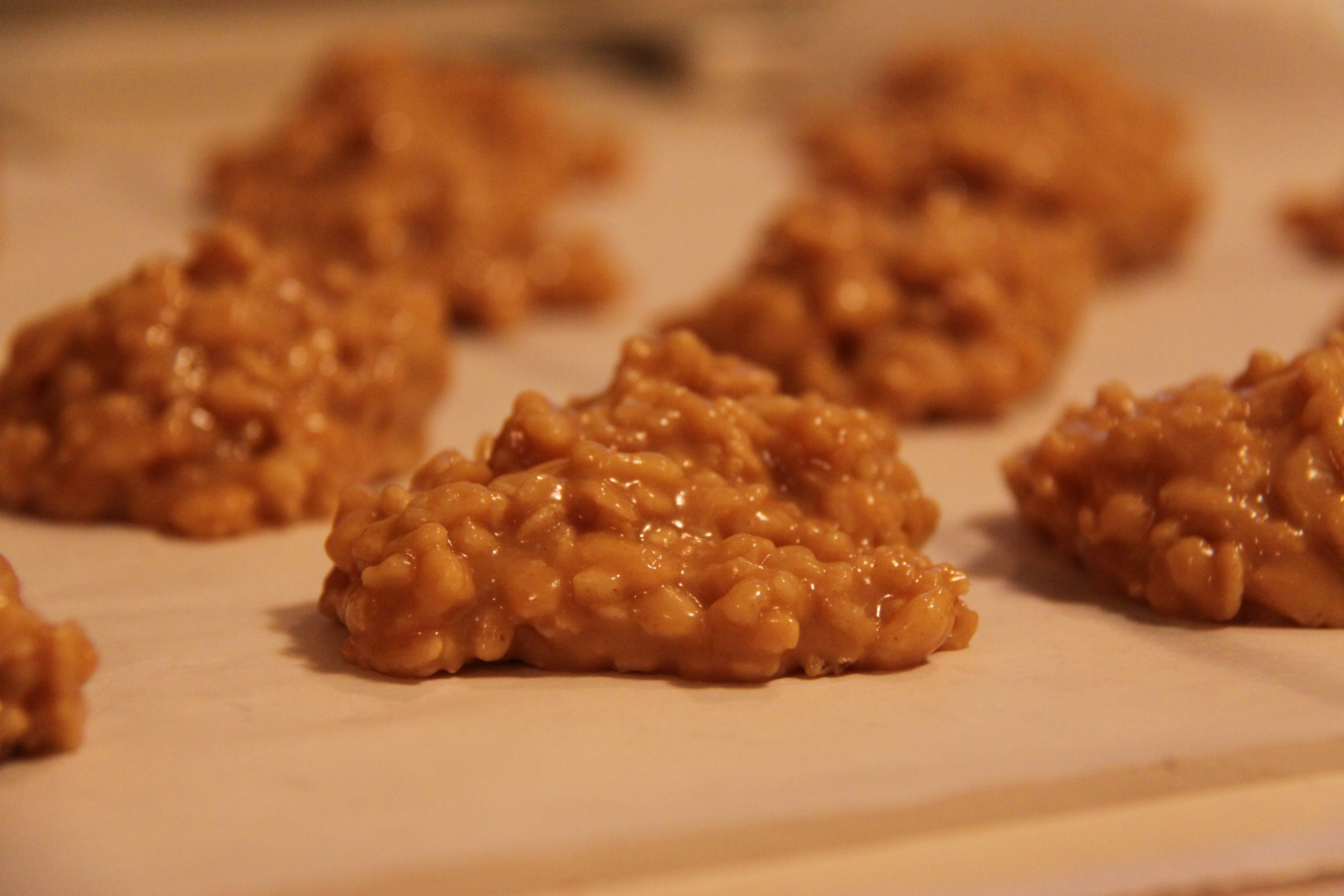 Peanut Butter Rice Crispy Cookies | yogijen