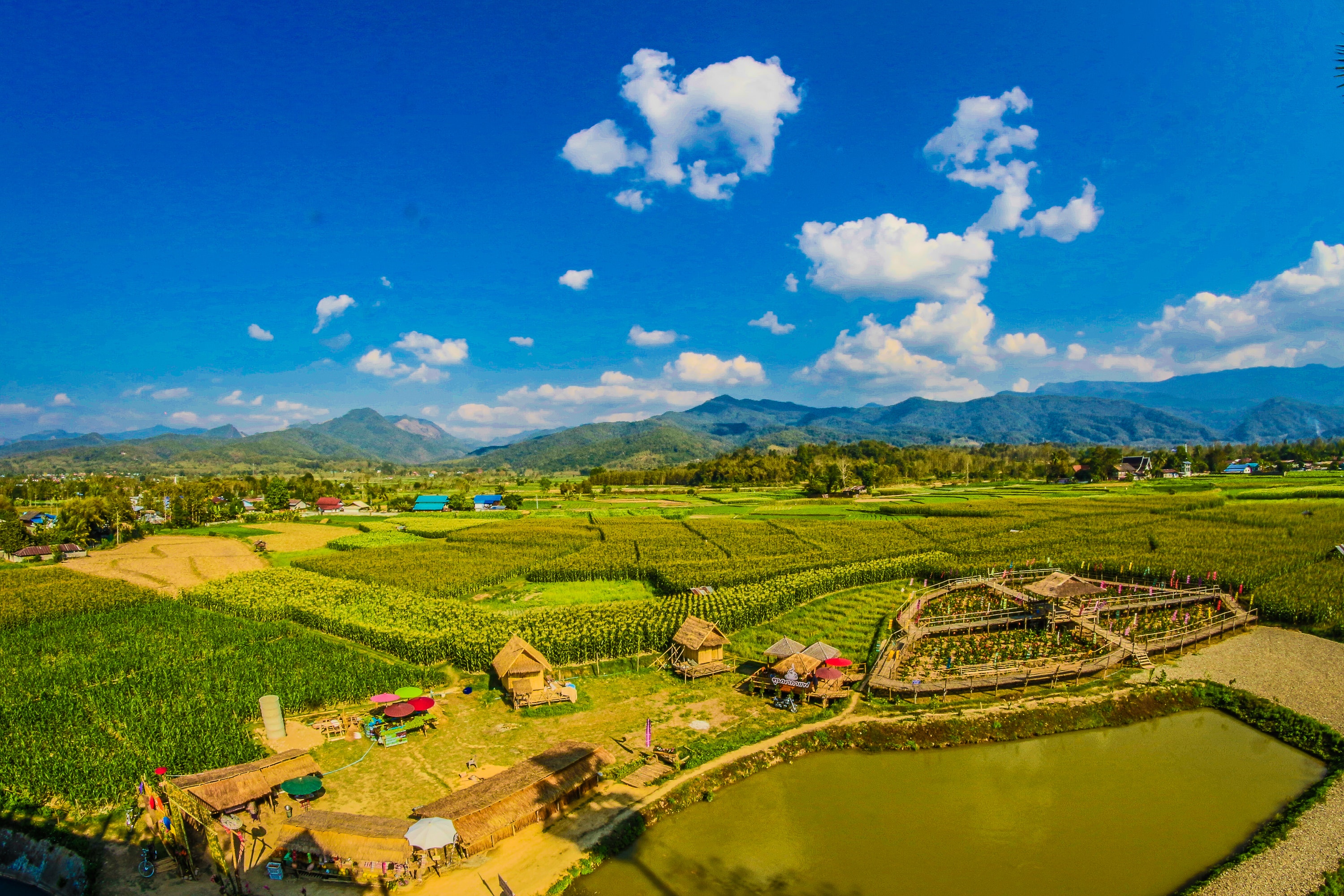 Rice Field With Mountain and Houses during Cloudy Day, Rural, Native, Nature, Organic, HQ Photo