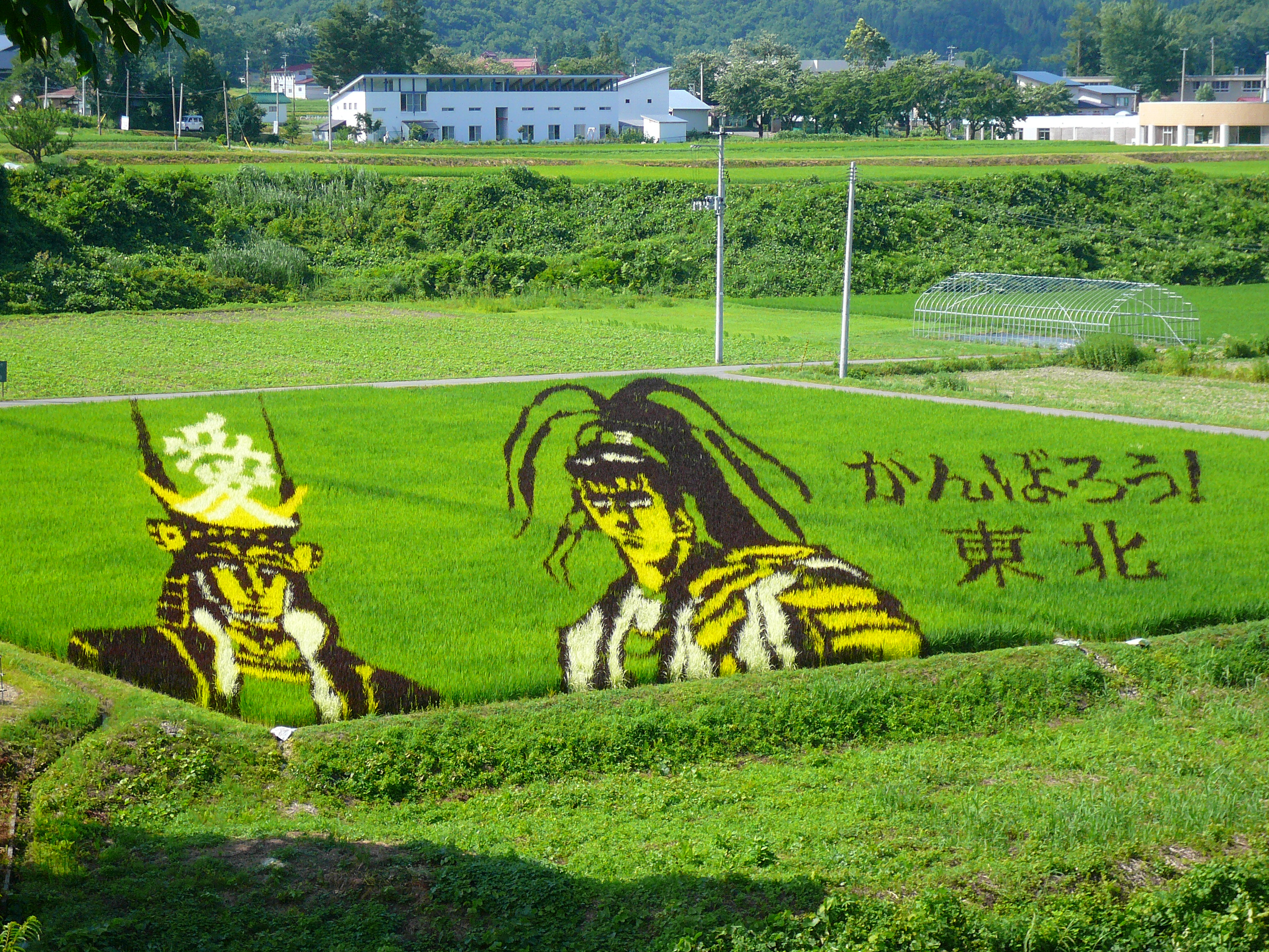 15 Insane Works Of Japanese Rice Field Art